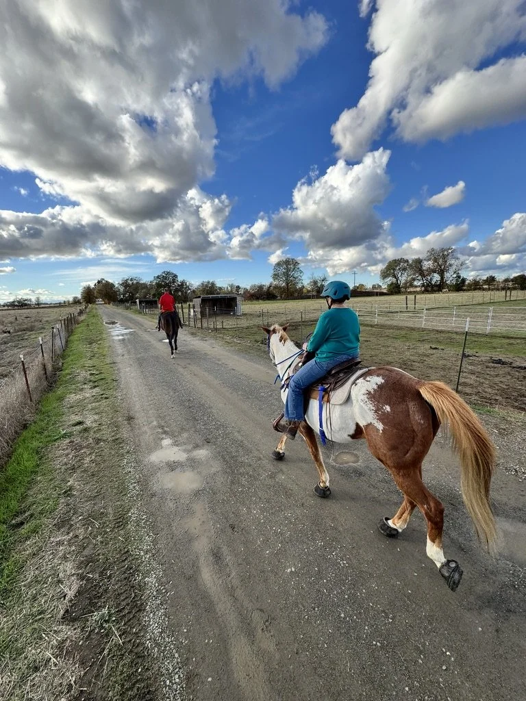 Person riding a horse along a rural dirt road under a partly cloudy sky, with another person riding a horse ahead.