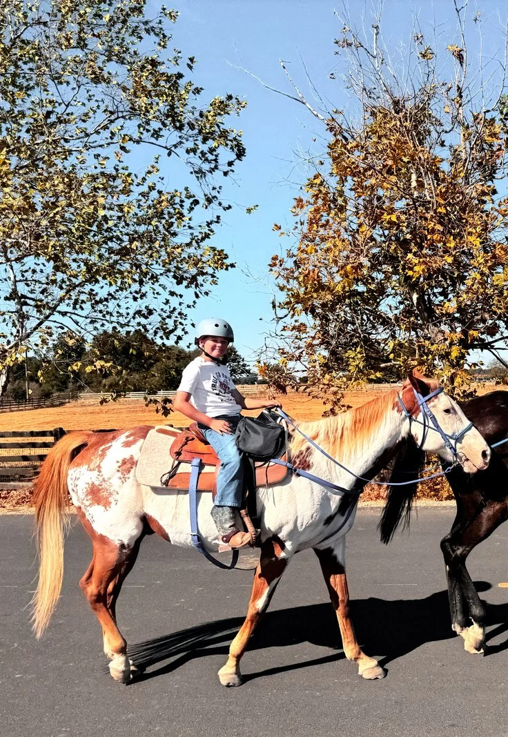 A young boy riding a paint horse on a paved road during the fall, with trees and a fence in the background.