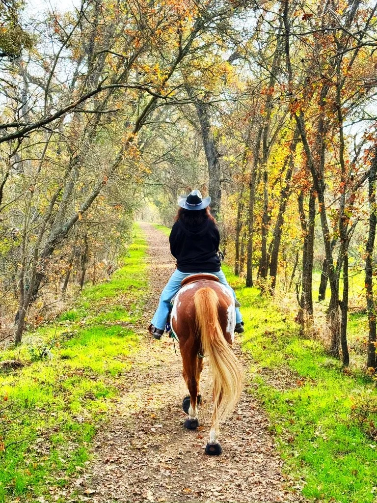 Person riding a horse on a dirt trail through a wooded area during fall, with trees and green grass on either side.