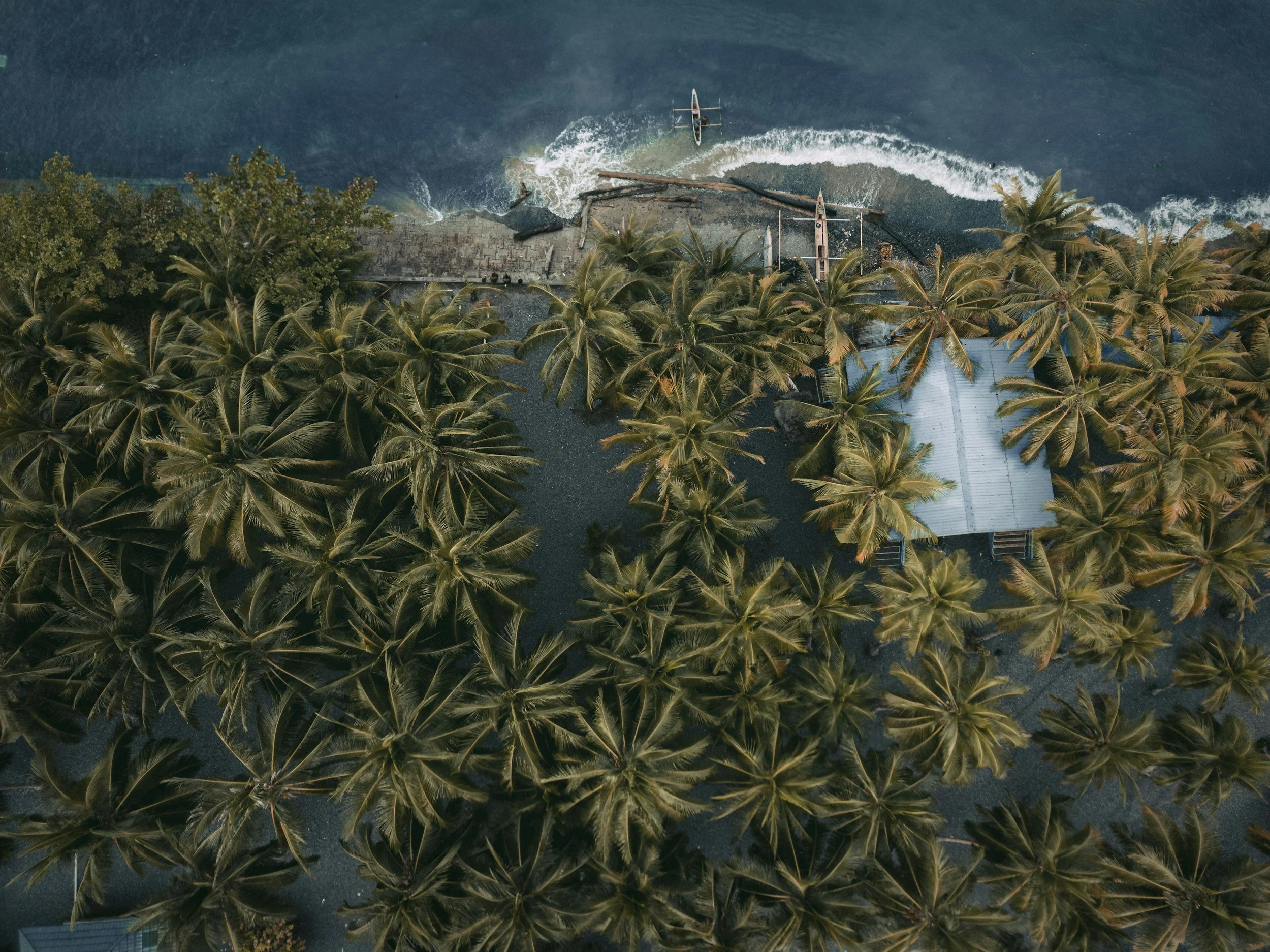 Carnival Encounter - Papua New Guinea 