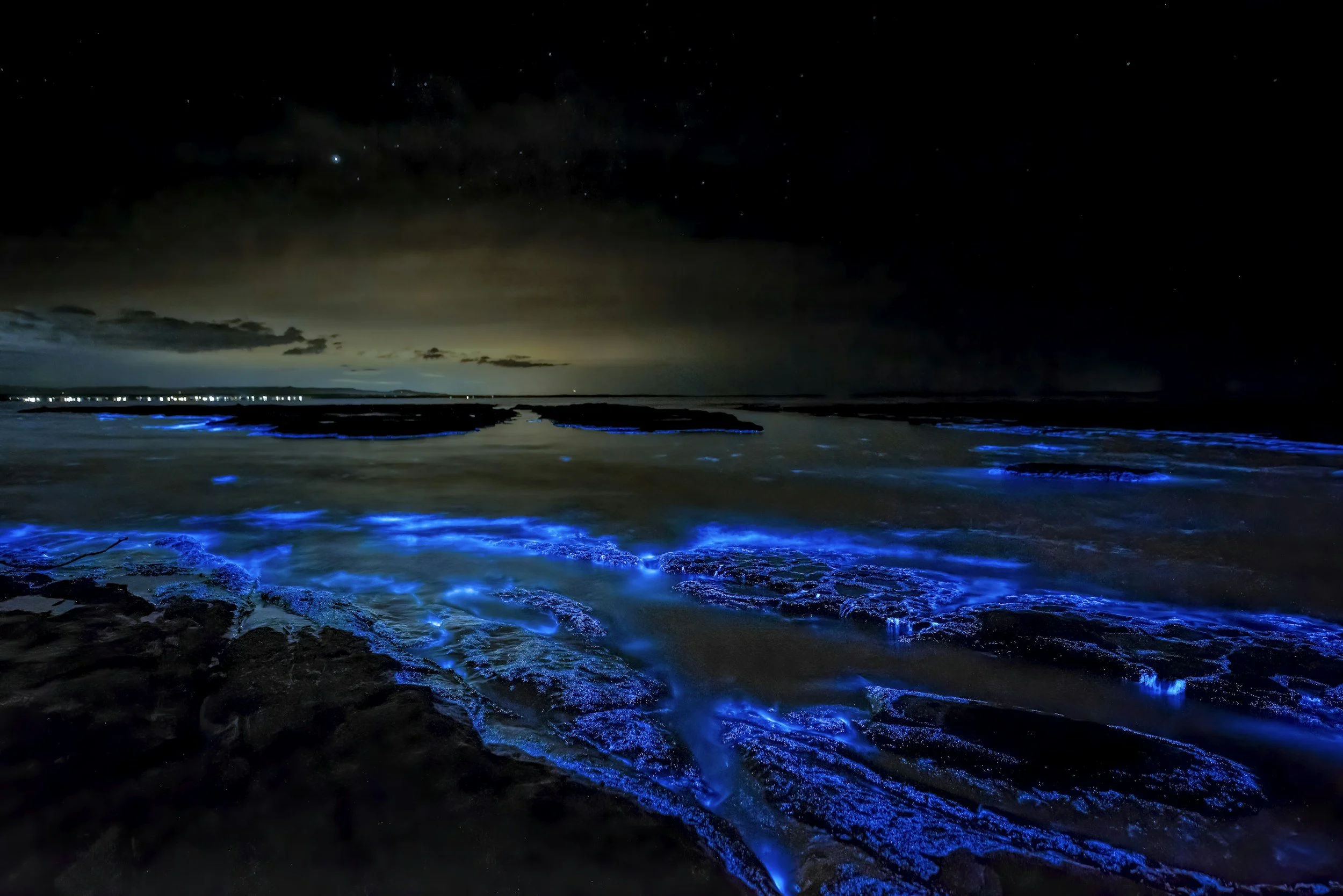 Nature’s Light Show