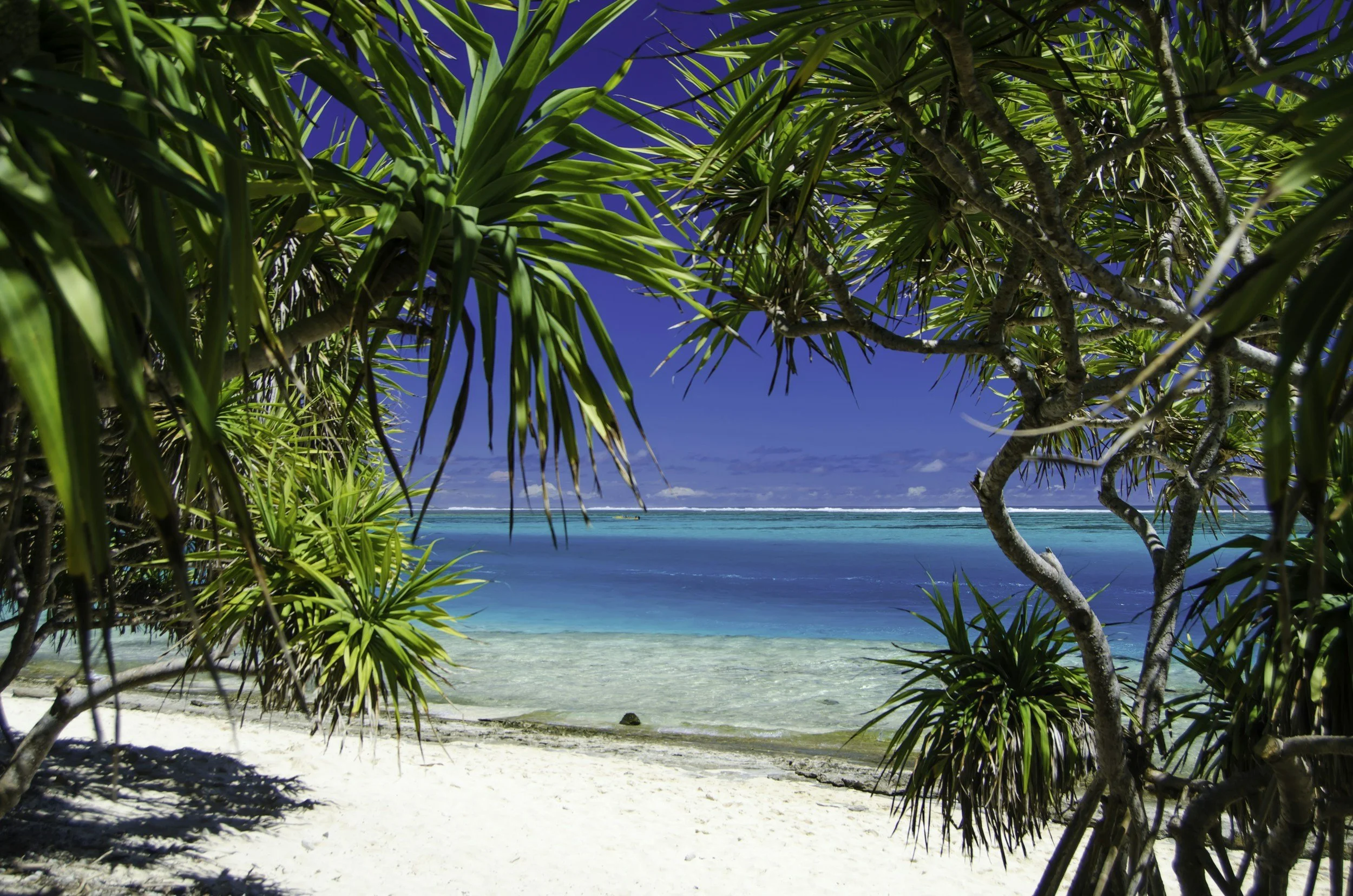 Island Princess - Australia & Pacific Islands