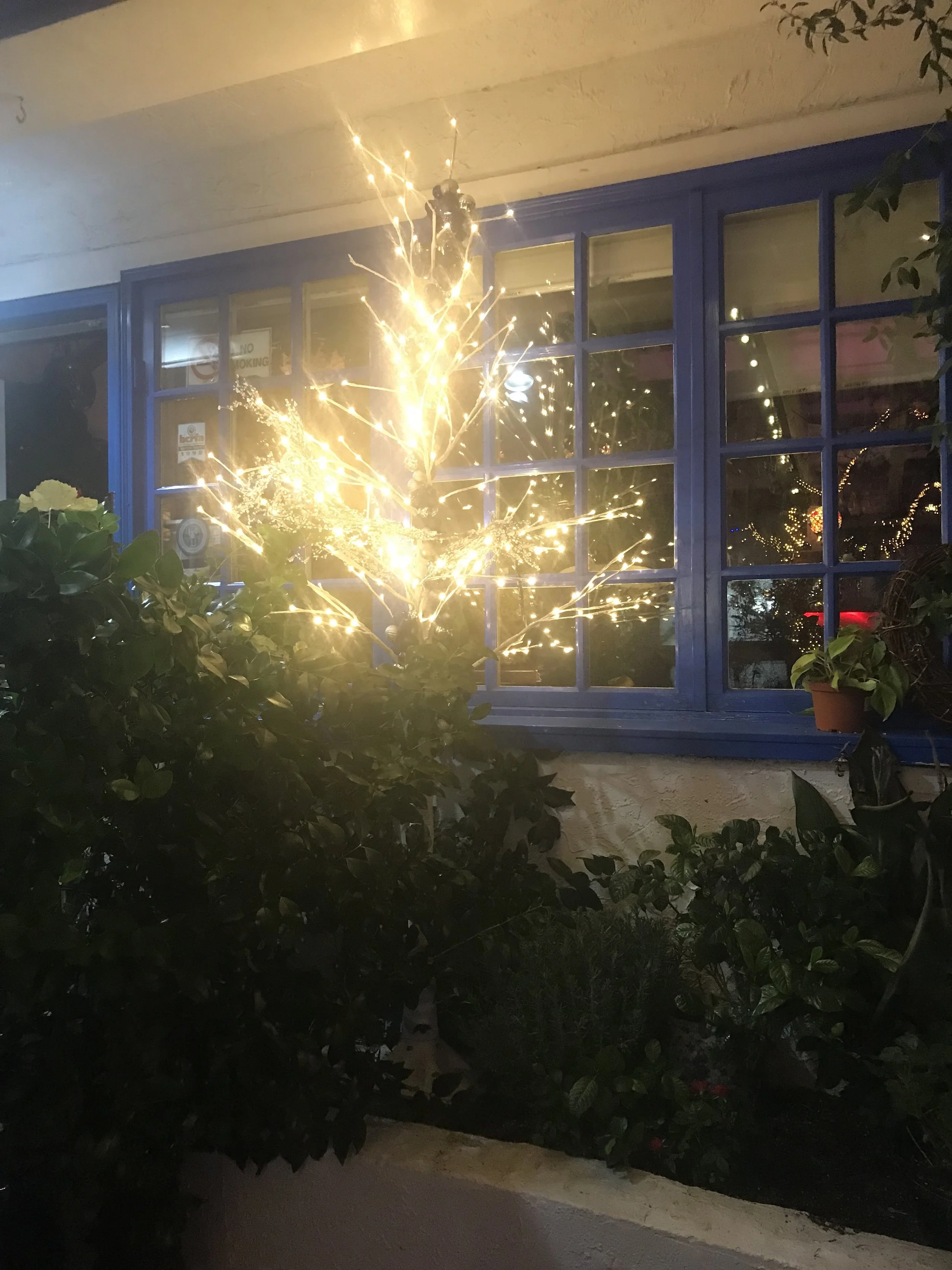 outside light christmas.jpg