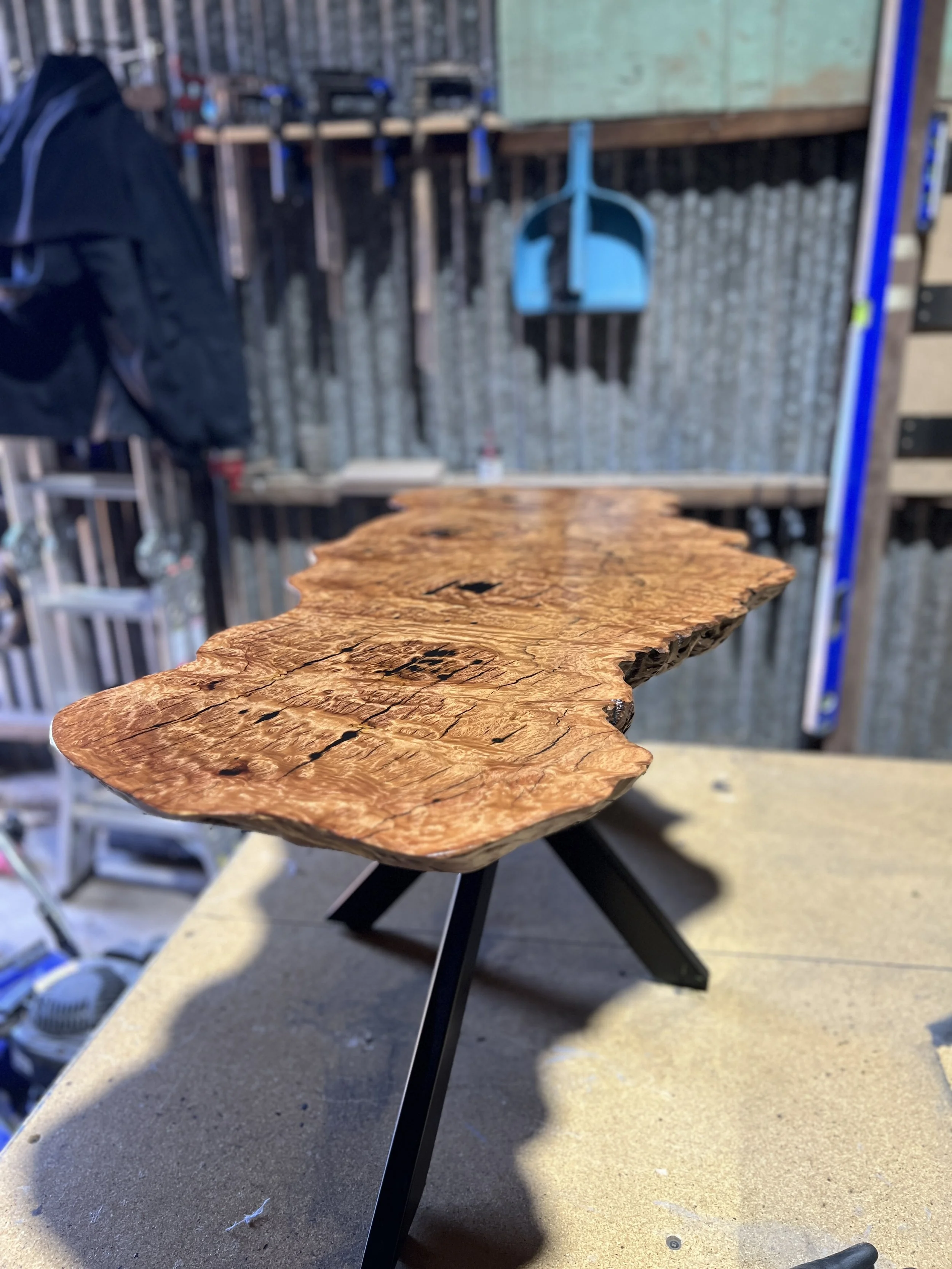 Burl Coffee Table