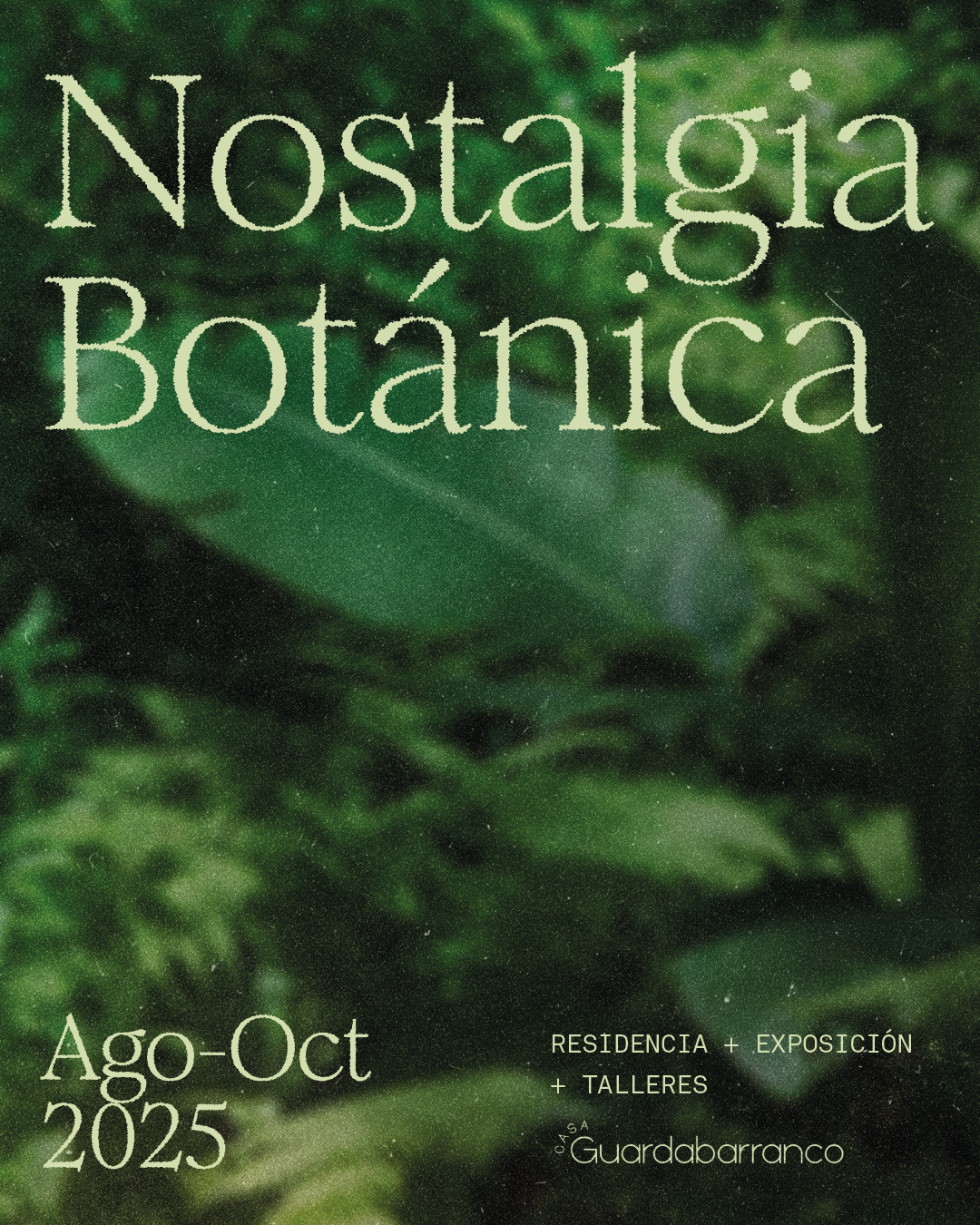 Cartel con fondo de plantas verdes, texto promocional para 'Nostalgia Botánica' en Casa Guardabarranco, del agosto a octubre 2025, con actividades de residencia, exposición y talleres.