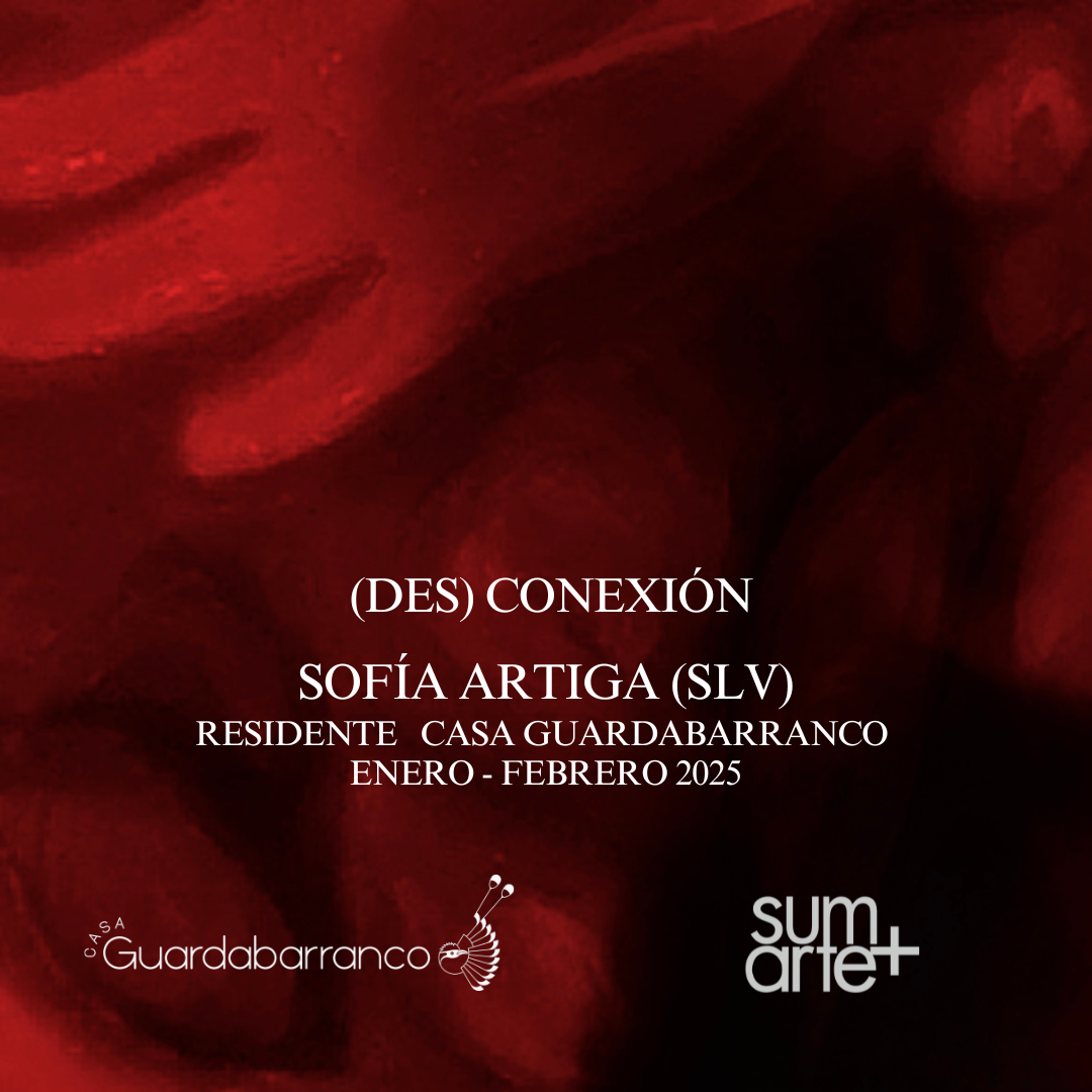 Cartel con fondo rojo y negro con texto en blanco que dice: "(DES) CONEXIÓN SOFÍA ARTIGA (SLV) RESIDENTE CASA GUARDABARRANCO ENERO - FEBRERO 2025" y logotipos en la parte inferior, uno de Casa Guardabarranco y otro de sumarte+.