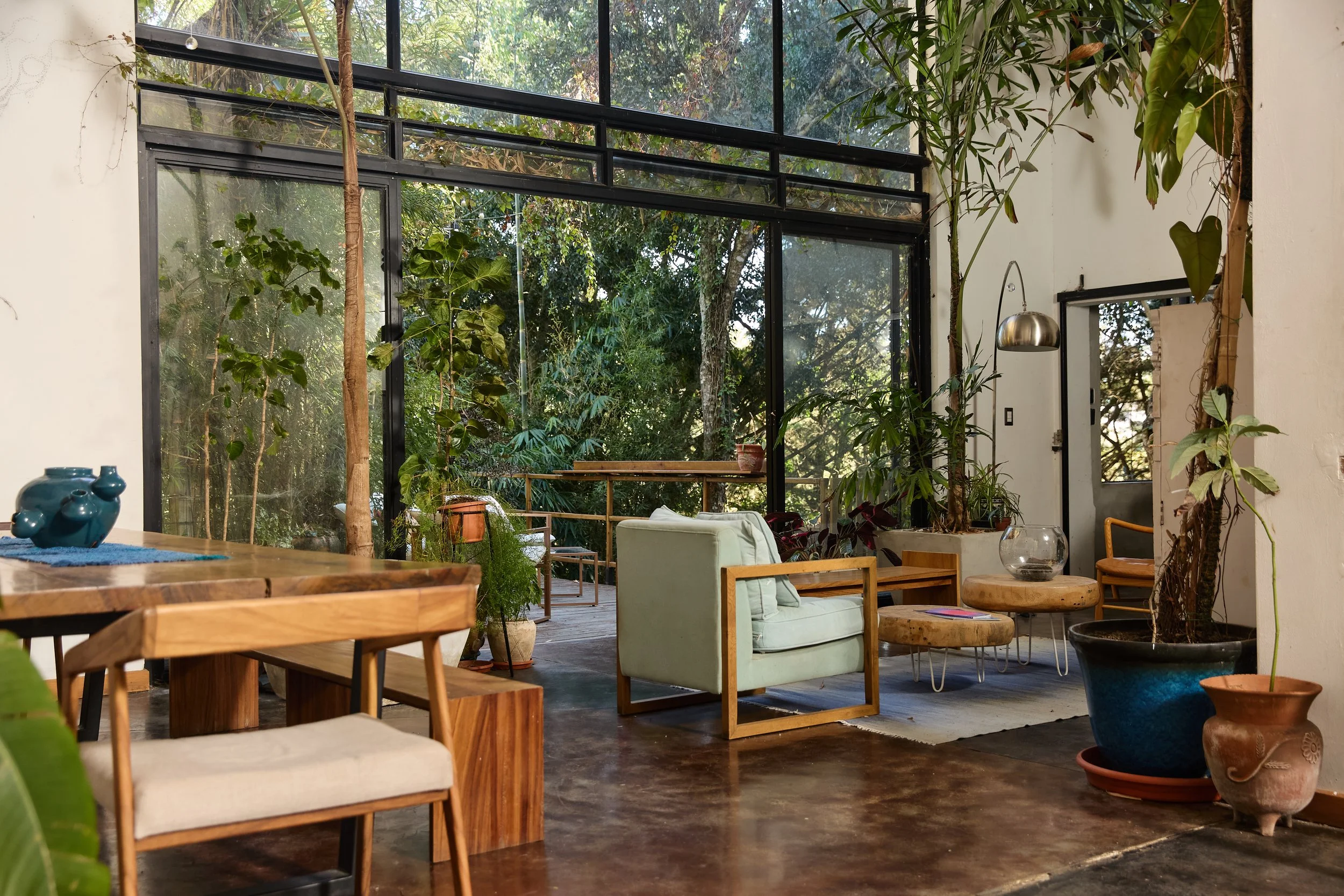 Interiores de sala con muebles de madera, plantas verdes y ventanas grandes con vista a un área con árboles y vegetación.
