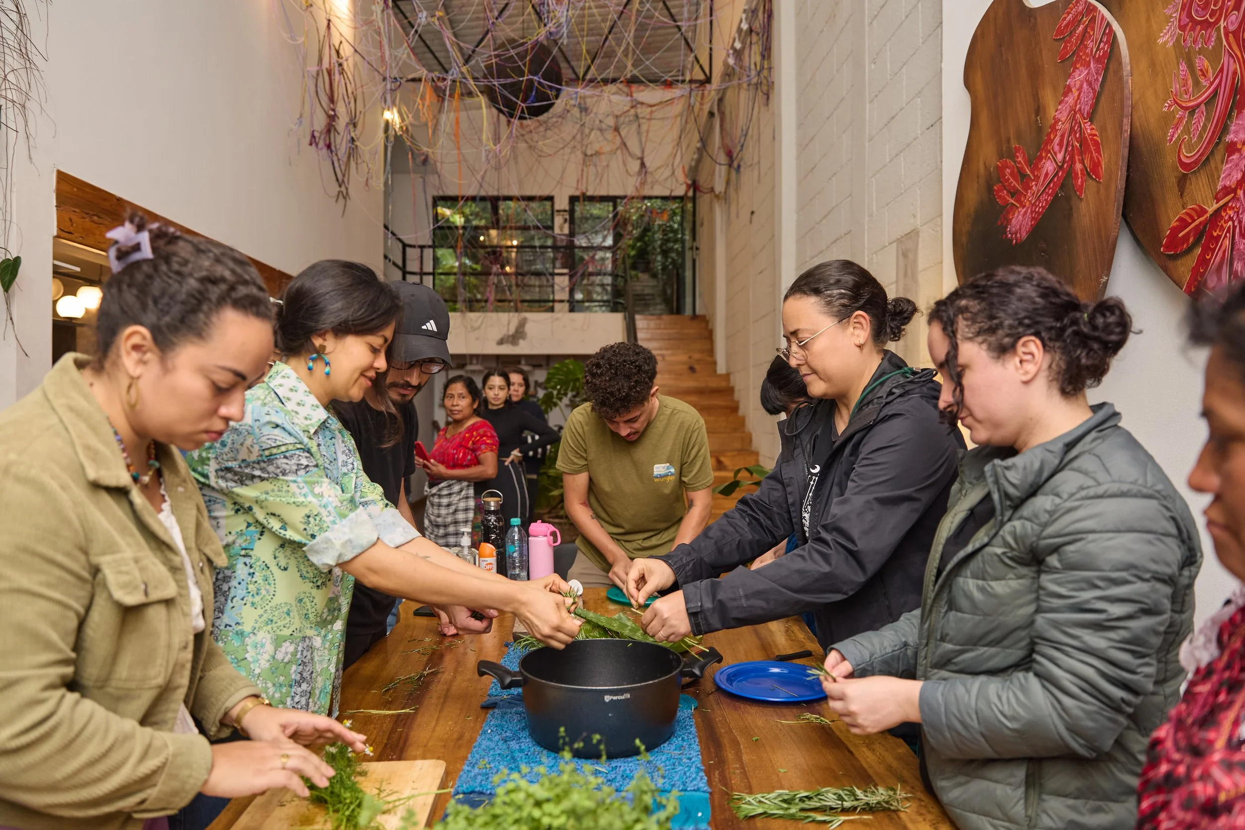Taller: La inteligencia de las flores con Doña Graciela y Doña Justa