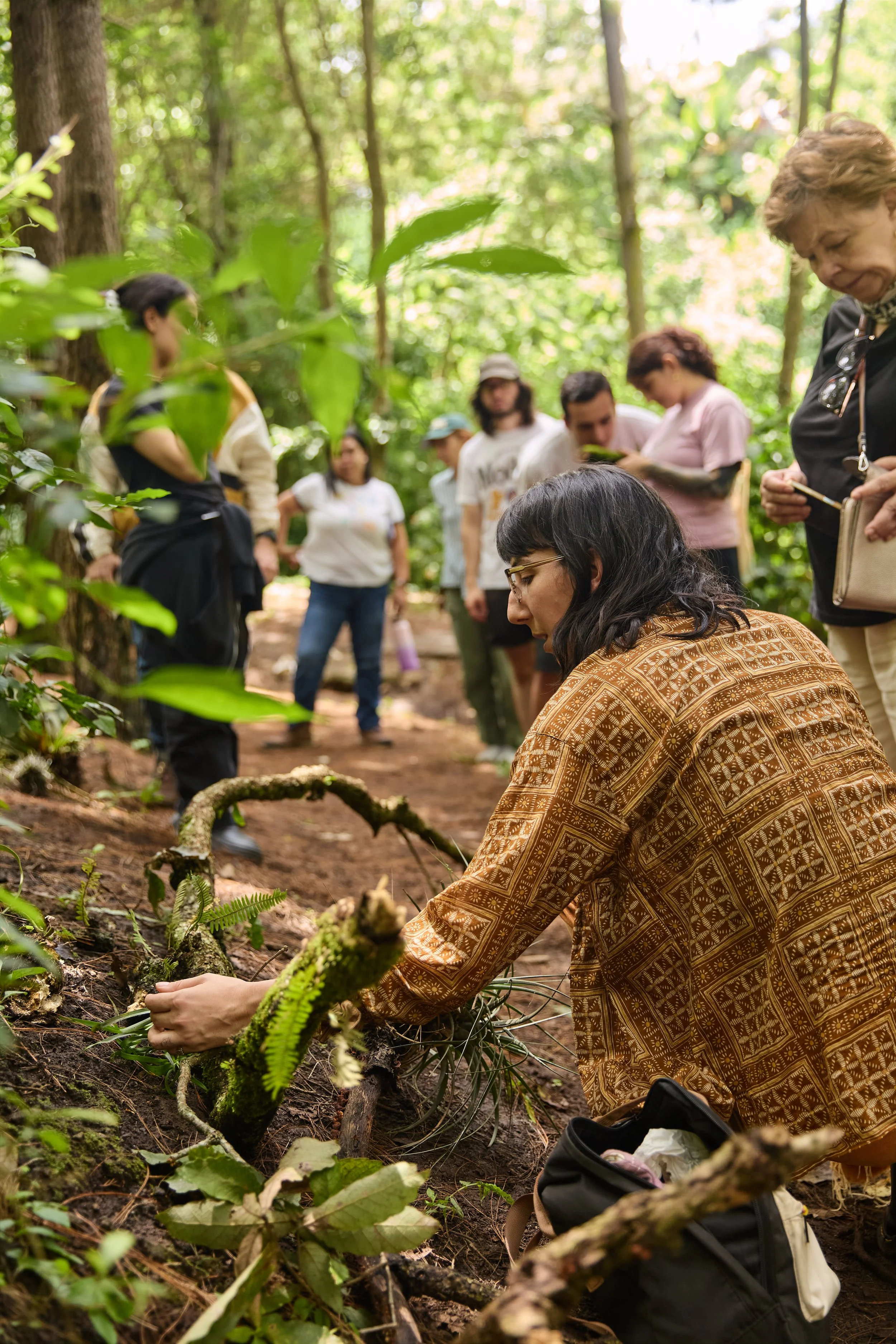 Taller: Acompañantes del bosque con Sarah Alix