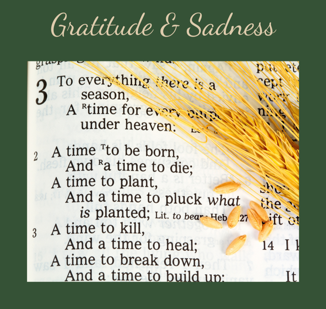 Gratitude and Sadness