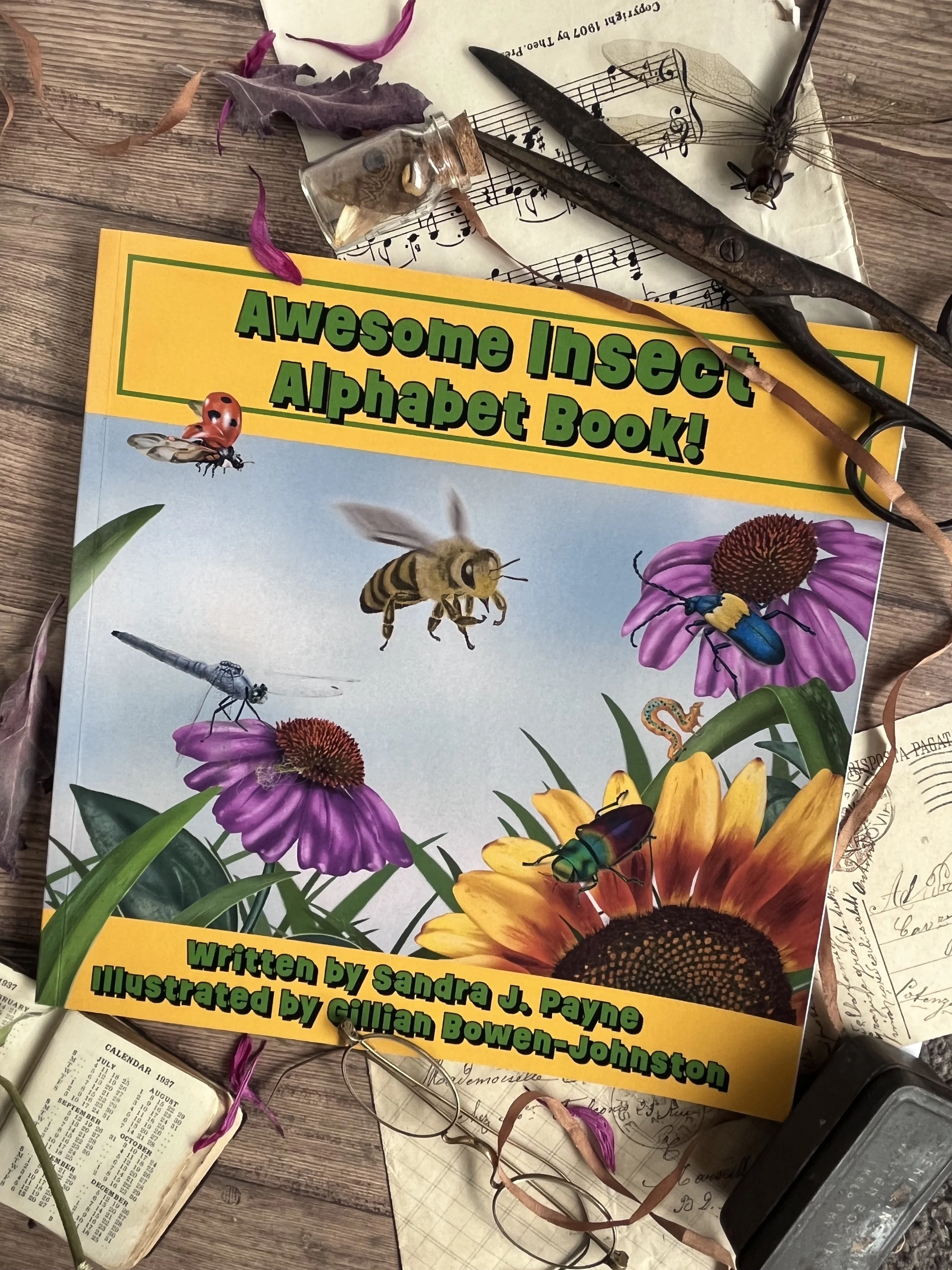 Awesome Insect Alphabet Book!