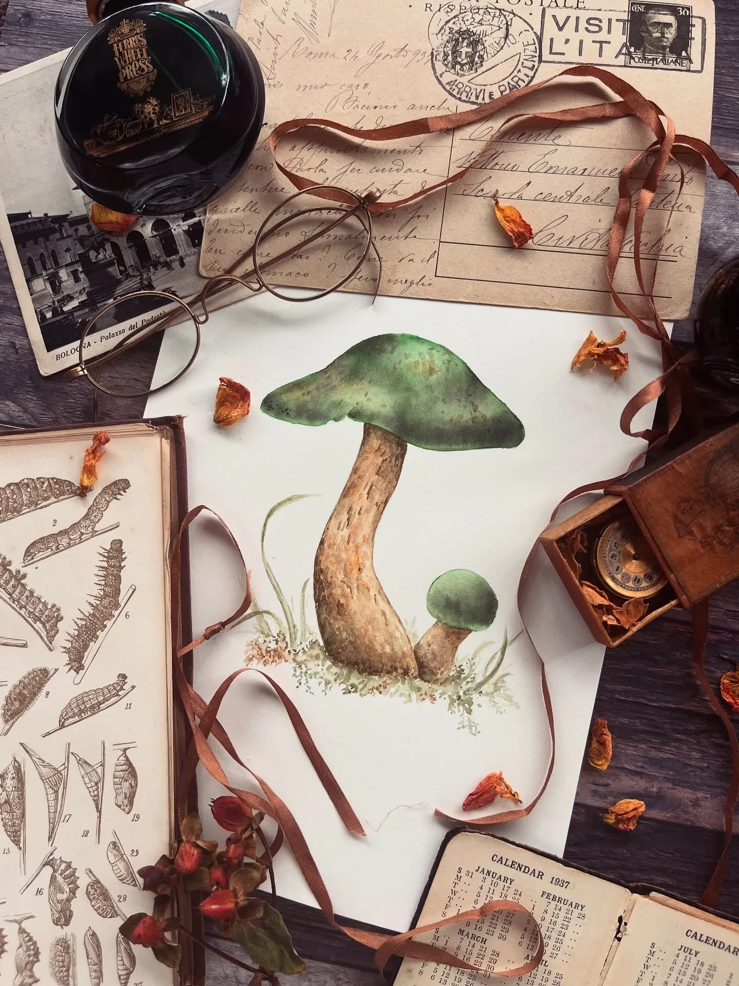 It has just started raining - music to my ears 😌
The Green Skinhead mushroom.  Which sounds like an Irish punk band 😝 

🌿Ink 🌿 by @ferriswheelpress 
: Bestiary Series | Lost in the Leaves
: Catnip Caf&eacute;
☘️Paper by @artspectrum.com.au 

🌿 T