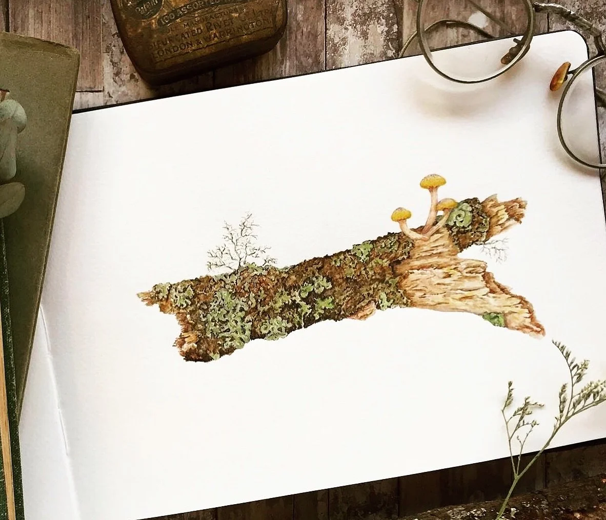 Lichen maps, moss carpets, mushroom lanterns 💚

#MushroomArt #NatureArt #BotanicalArt #IllustrationArt #WhimsicalArt #ForestMagic #EnchantedForest #StorybookArt #ArtistsOnInstagram #ArtOfTheDay #IllustratorsOfInstagram #NatureLoversArt #FineArtPaint