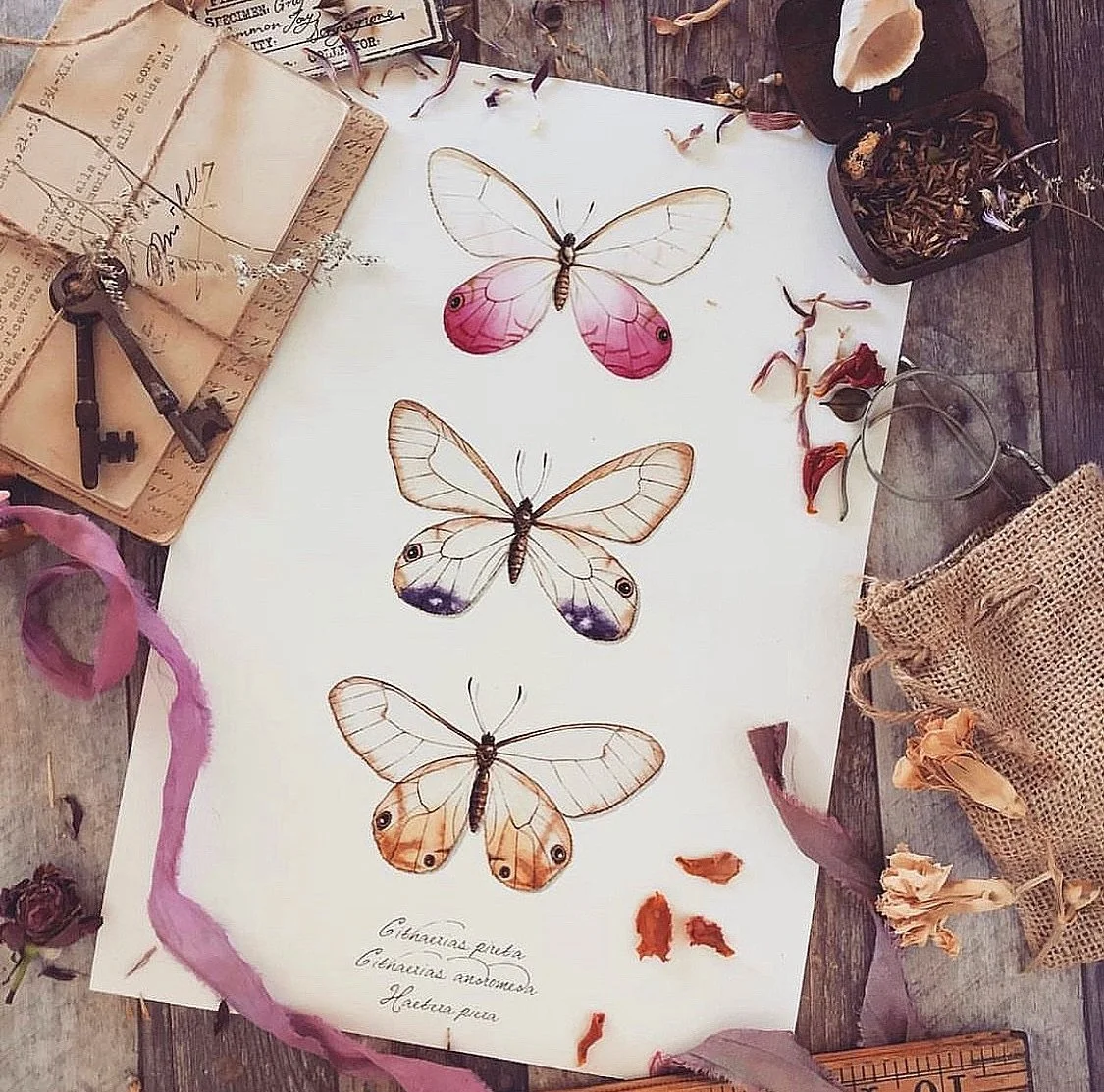 Definitely not a crowd 🩷💜🧡

#watercolourart #watercolorpainting #watercolorillustration #owlsofinstagram #owl  #natureart #watercolournature #ChildrensBookIllustration #AustralianIllustrator
#PictureBookArt #KidsBookArt
#AussieAuthors #AustralianP