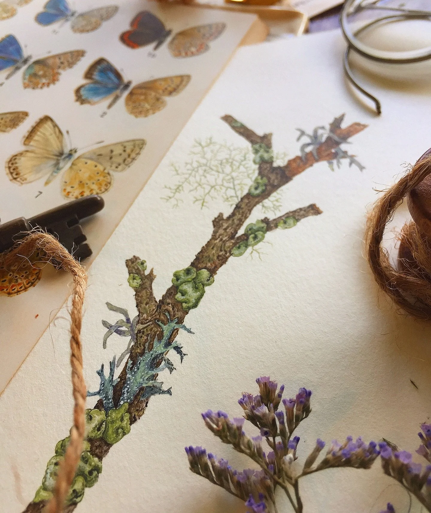 I love exploring tiny worlds in the forest.  Sometimes the most interesting parts aren&rsquo;t the towering trees, but the microscopic details underfoot. Lichen, moss, and mushrooms all working together to make miniature ecosystems 🌱

#MushroomArt #