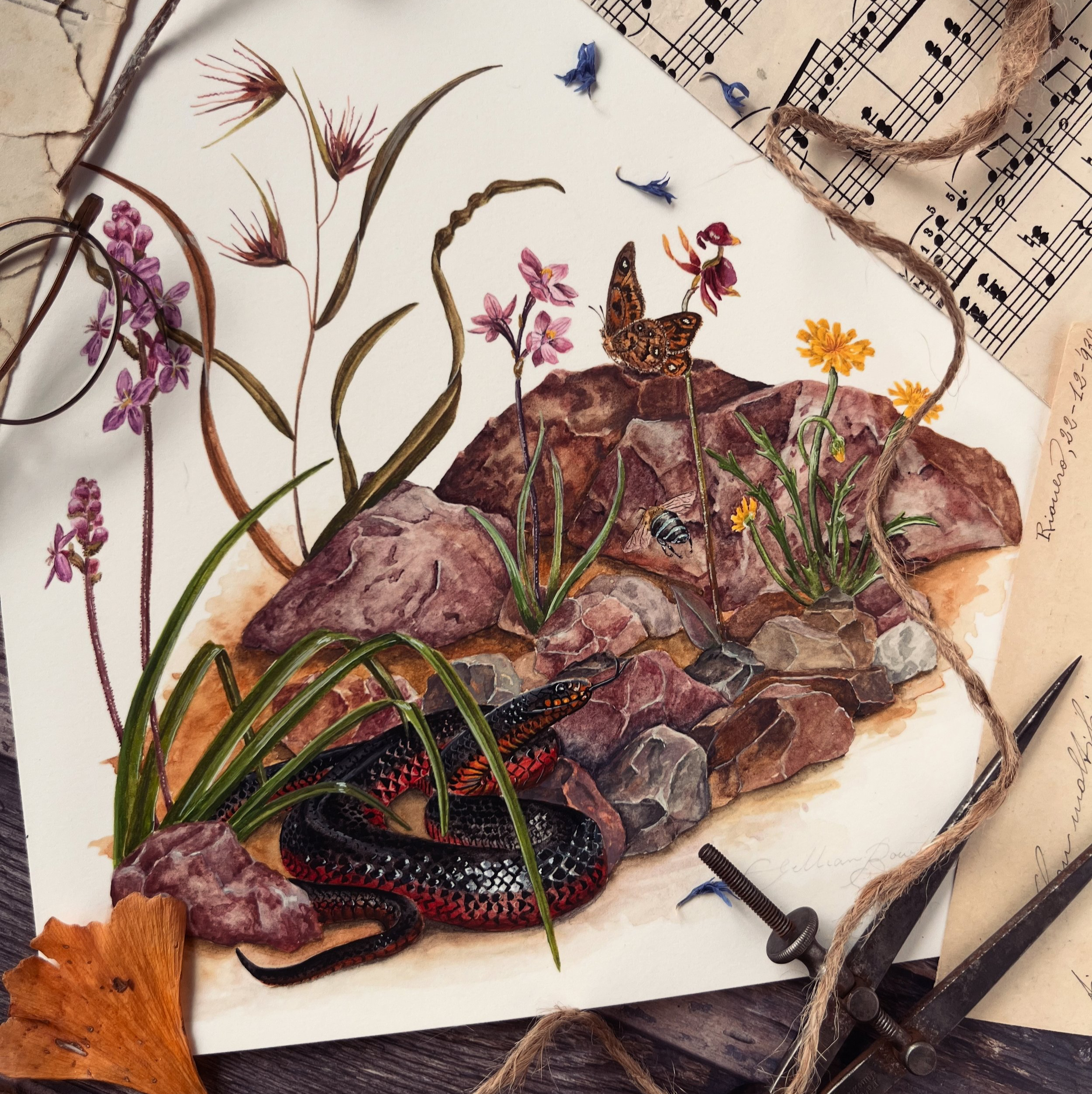 Petyan - Season of Wildflowers