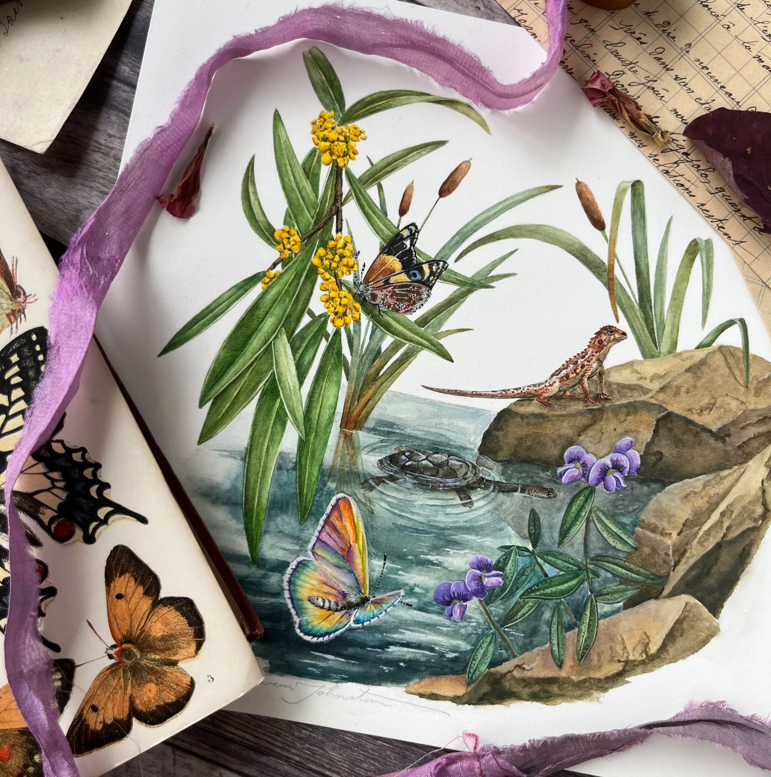 Ballambar - Season of Butteries  