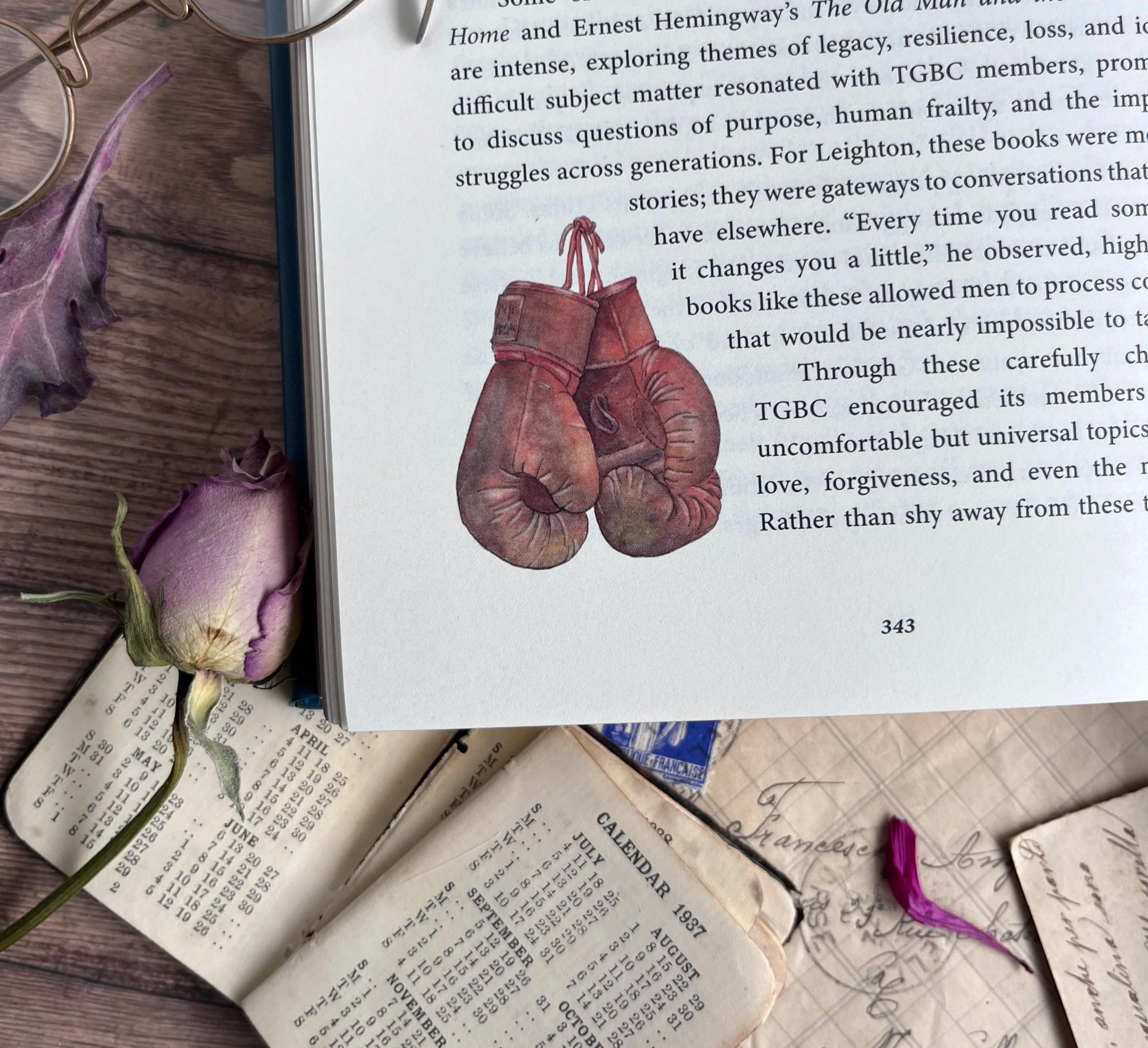 Illustrated spot artwork - Boxing Gloves