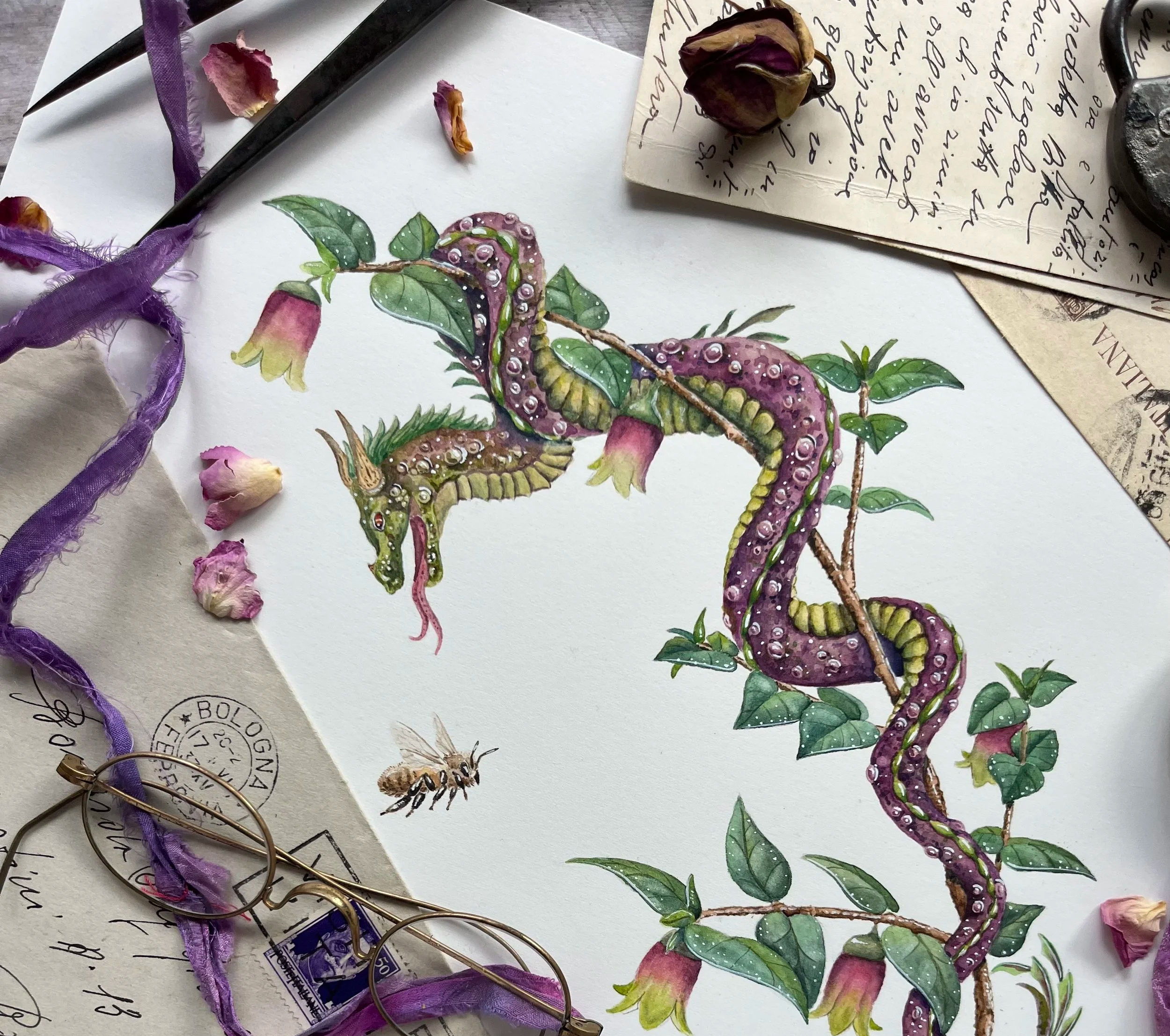 Artistic watercolour of a native correa bee-eating dragon 