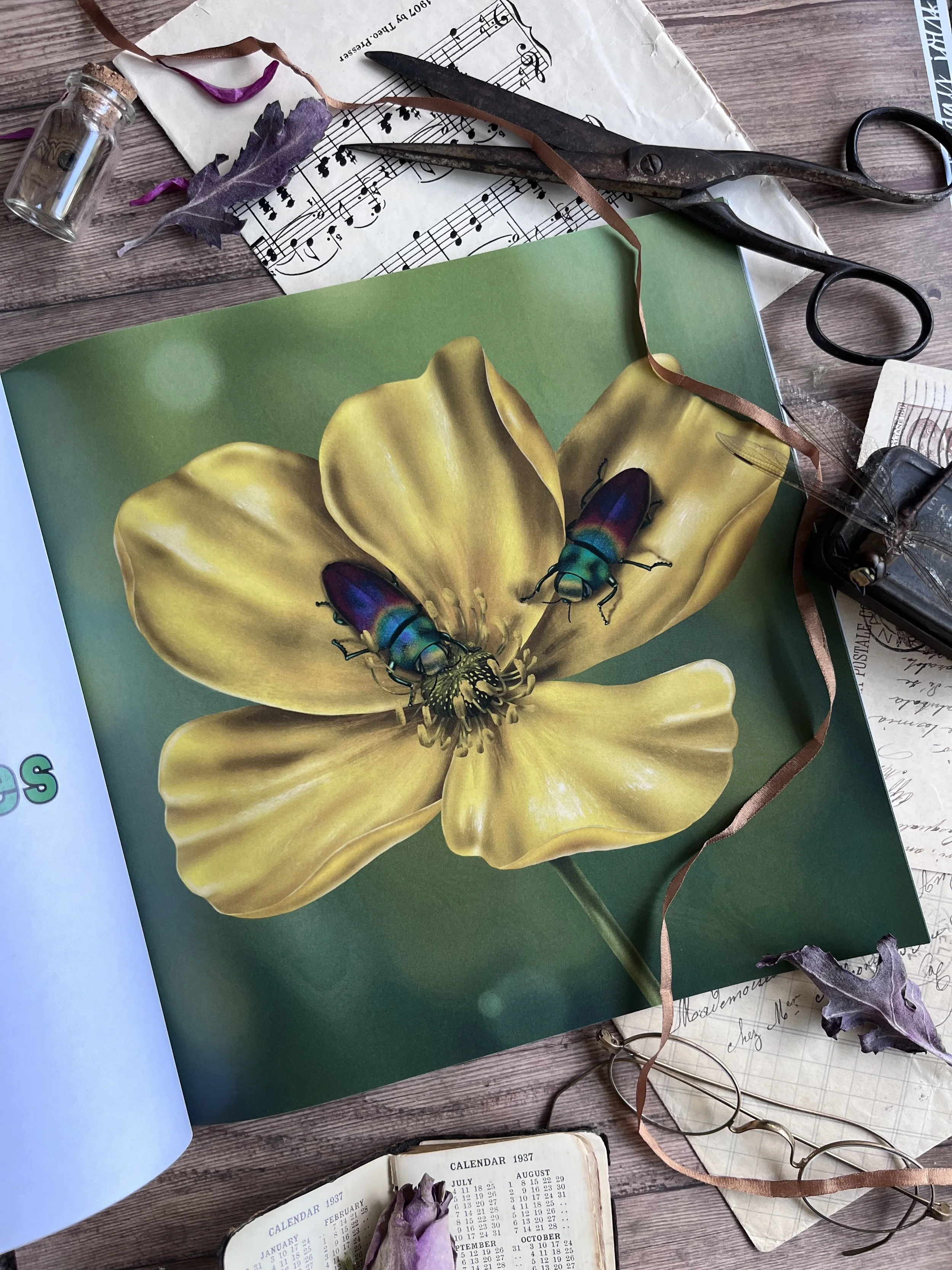 Jewel Beetles, Spain - Digital illustration