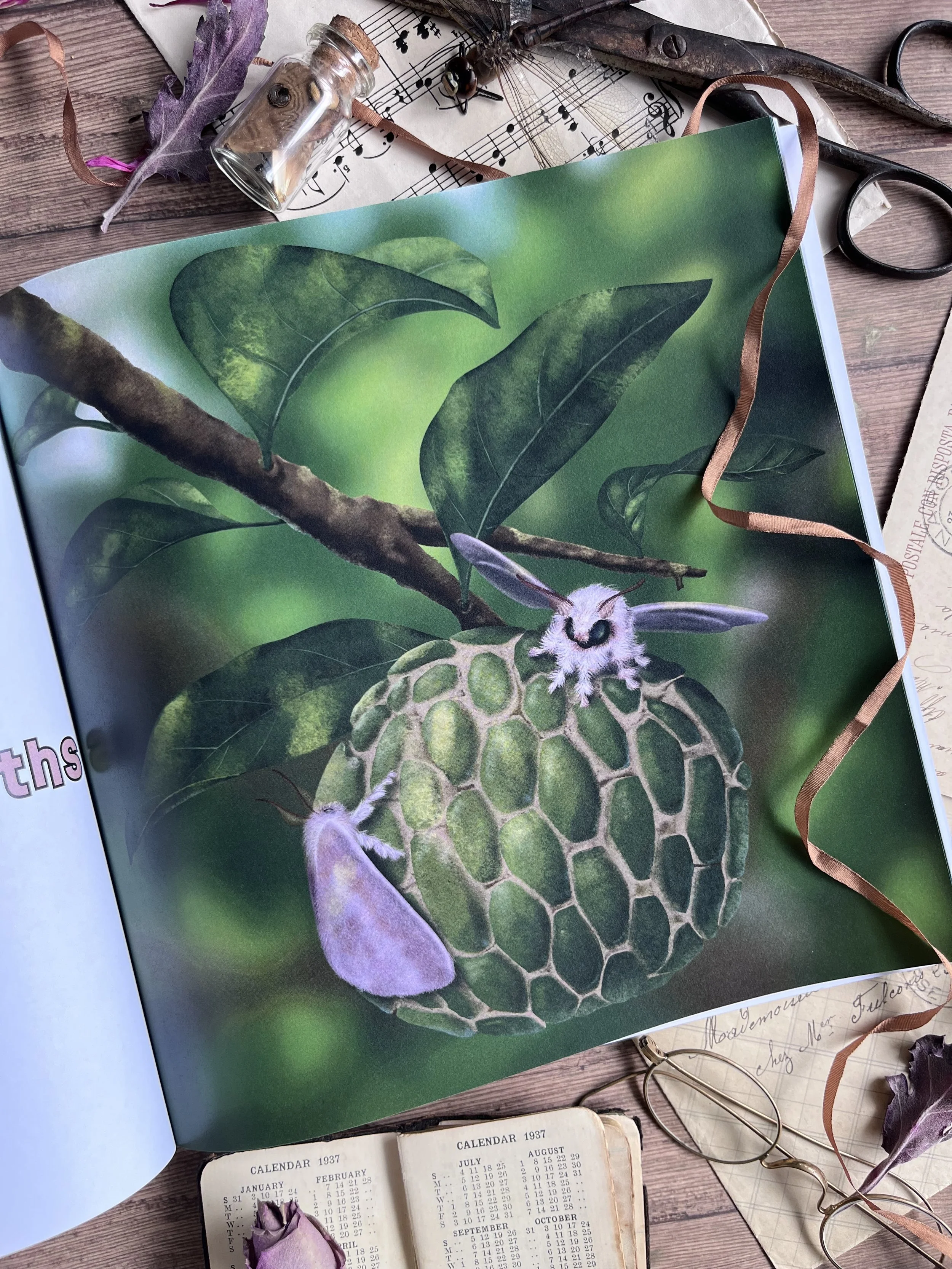 Venezuelan Poodle moths - Digital illustration
