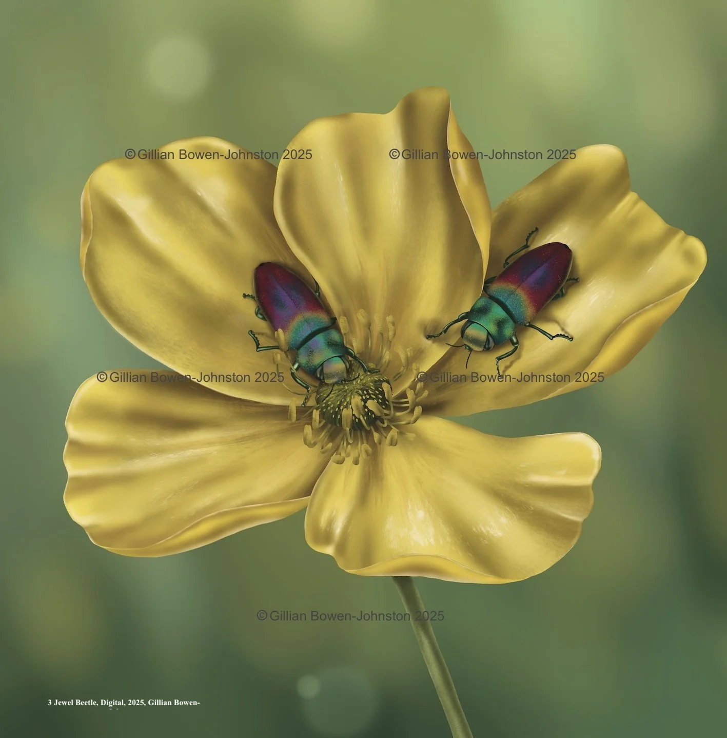 A digital painting of a couple jewel beetle sitting on a buttercup