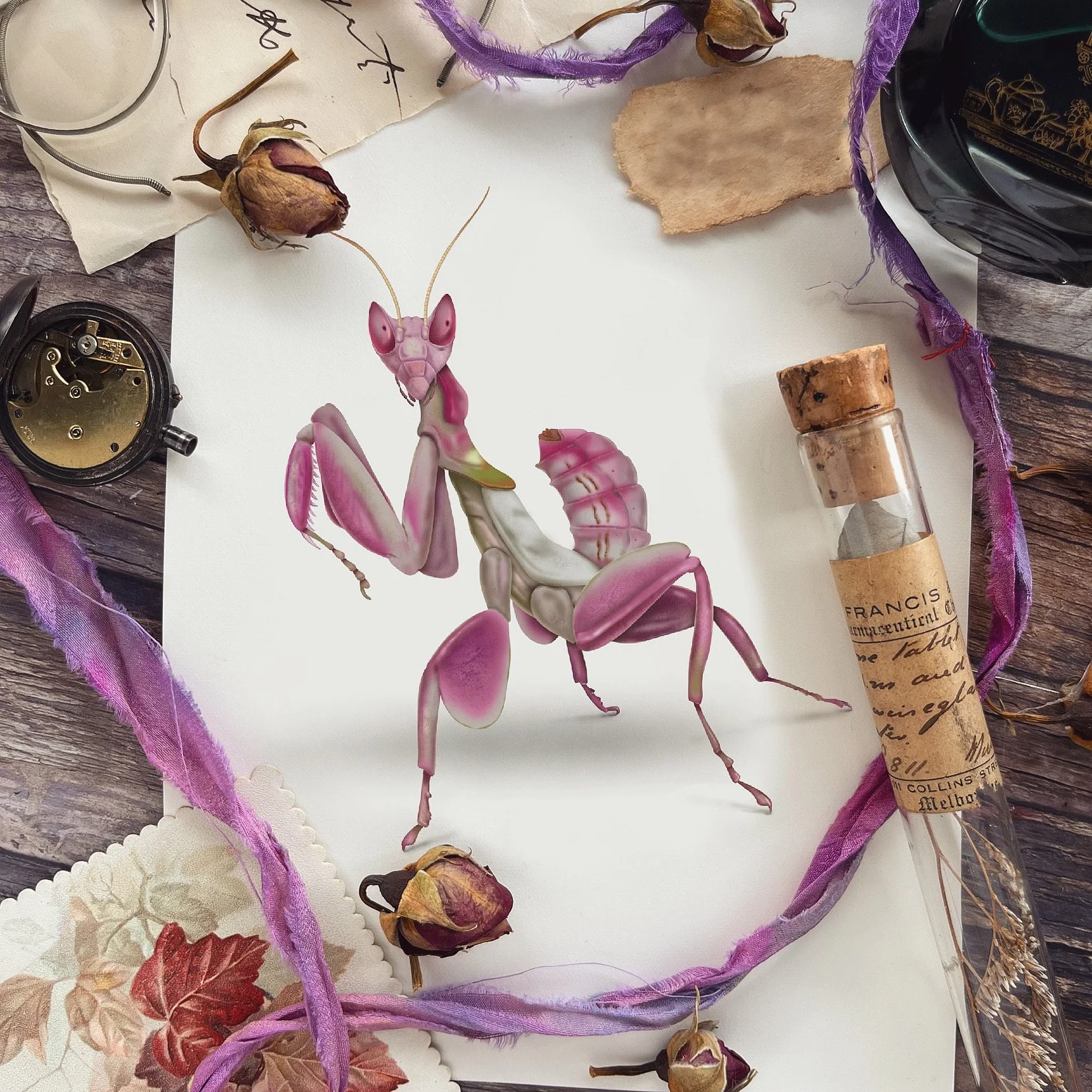 A detailed botanical illustration of a Venus flytrap plant with its trademark trap leaves, along with dried flowers, handwritten notes, a pocket watch, a button, and a section of a book or journal on a white surface.