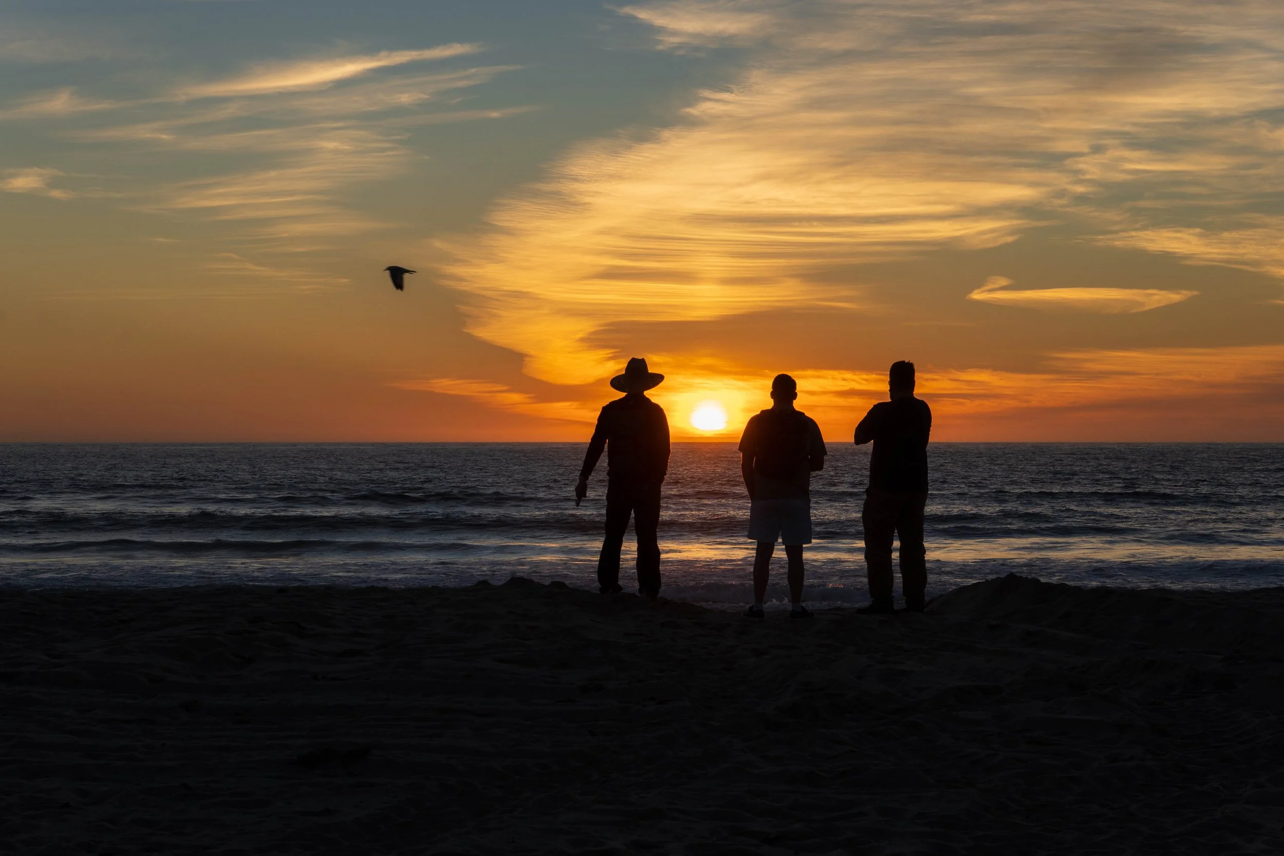 Three people standing on a beach at sunset, silhouettes against the sky, with a bird flying in the sky and the ocean in the background.