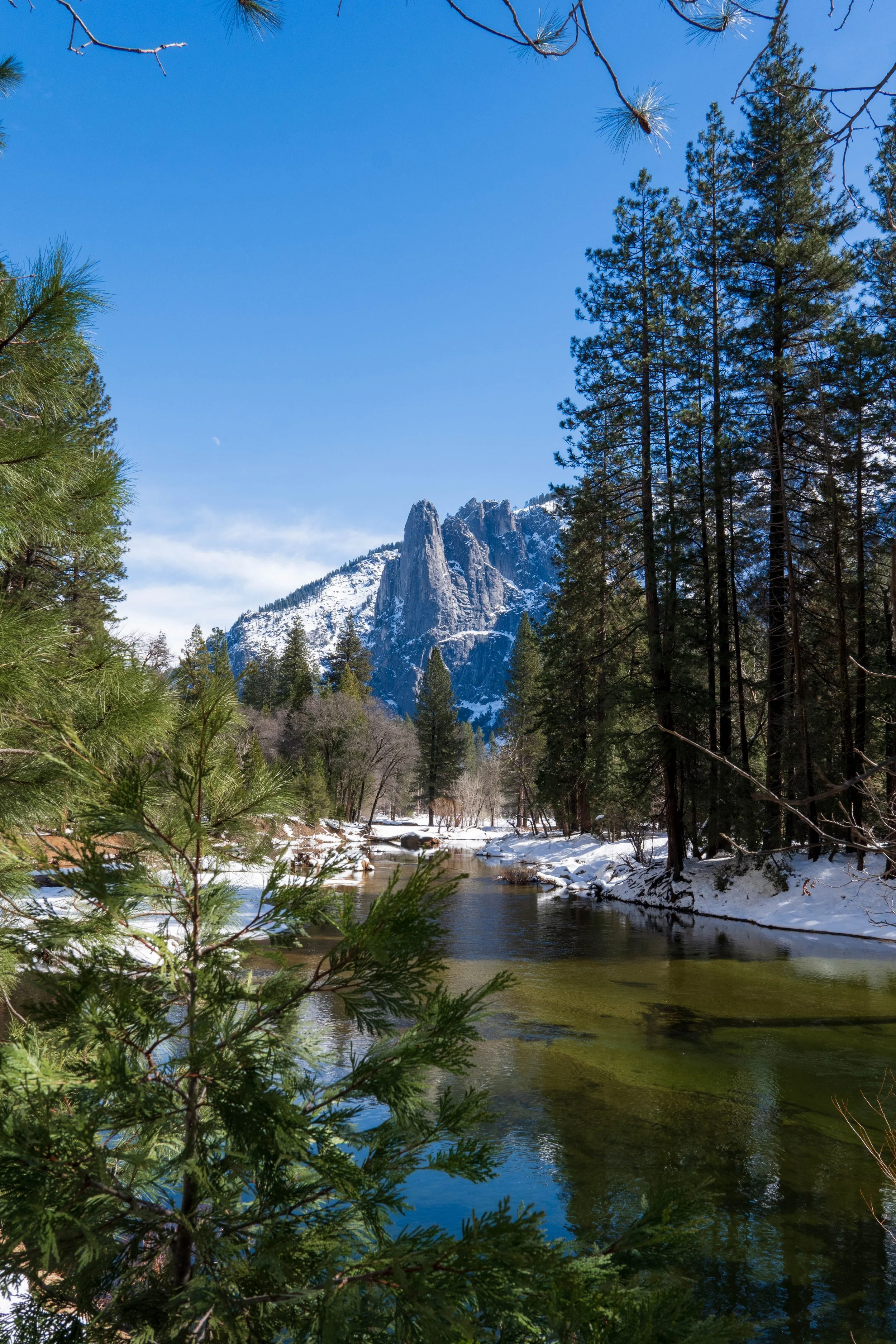 A scenic mountain landscape with tall pine trees and a snow-capped mountain in the background. A river flows through the forested area, with patches of snow along its banks. The sky is clear and blue.
