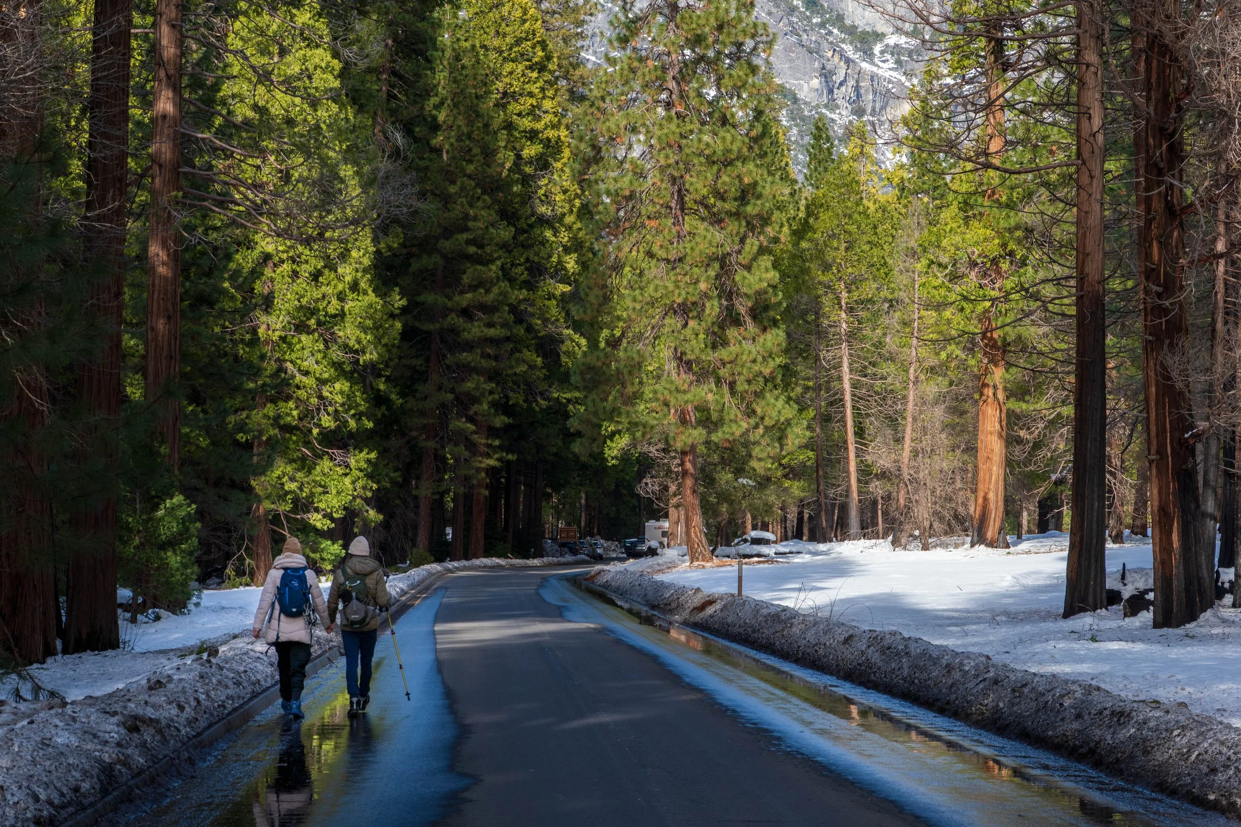 Two people hiking on a winding mountain road through a forested area with tall pine trees and snow on the ground.