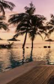 Sunset scene with palm trees over a body of water, a wooden dock, and a pink sky.