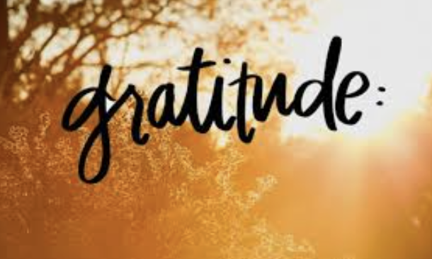 The word 'gratitude' written in black cursive over an autumn-themed background with trees and sunlight.