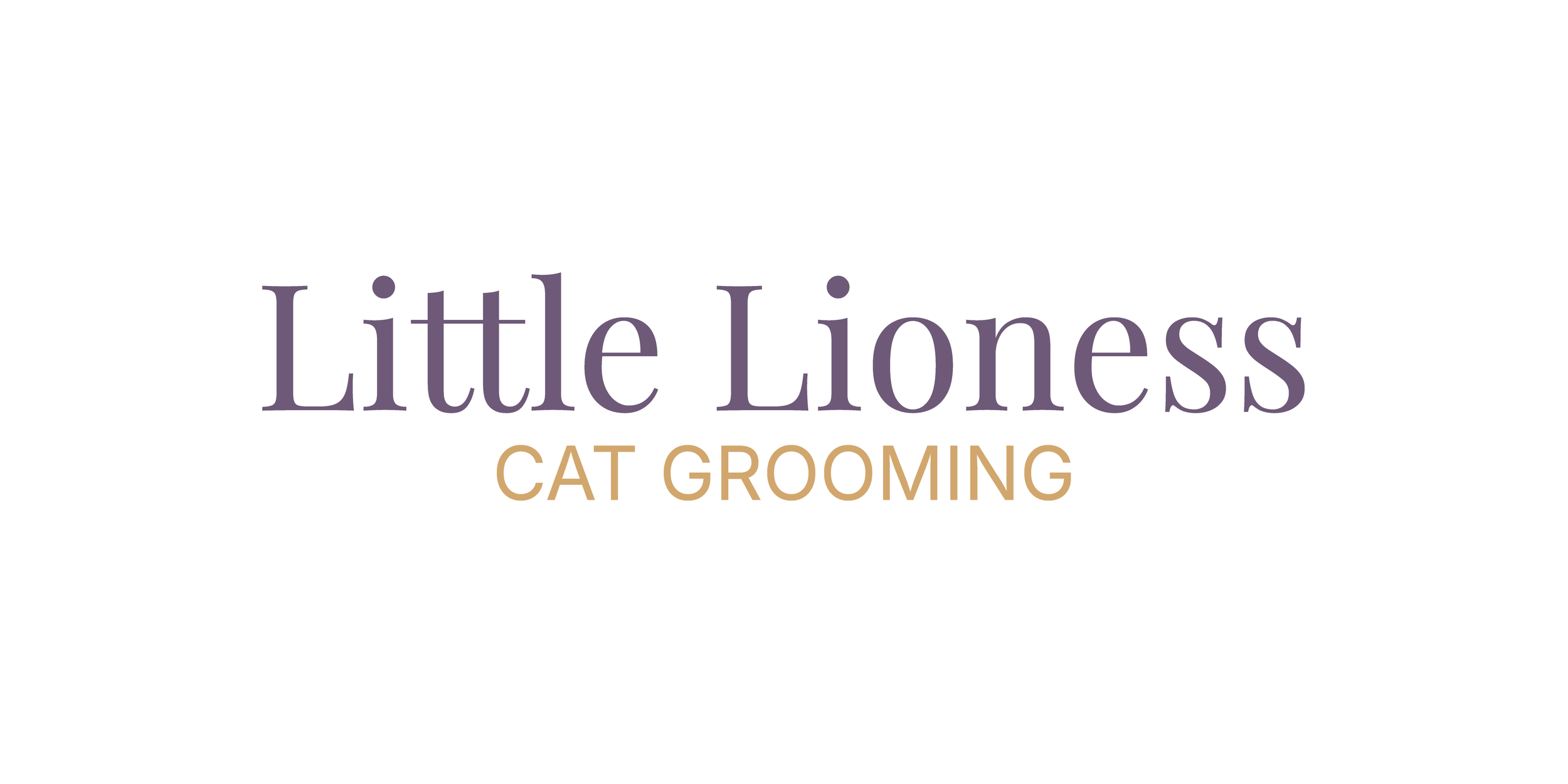 Secondary Logo - Wordmark