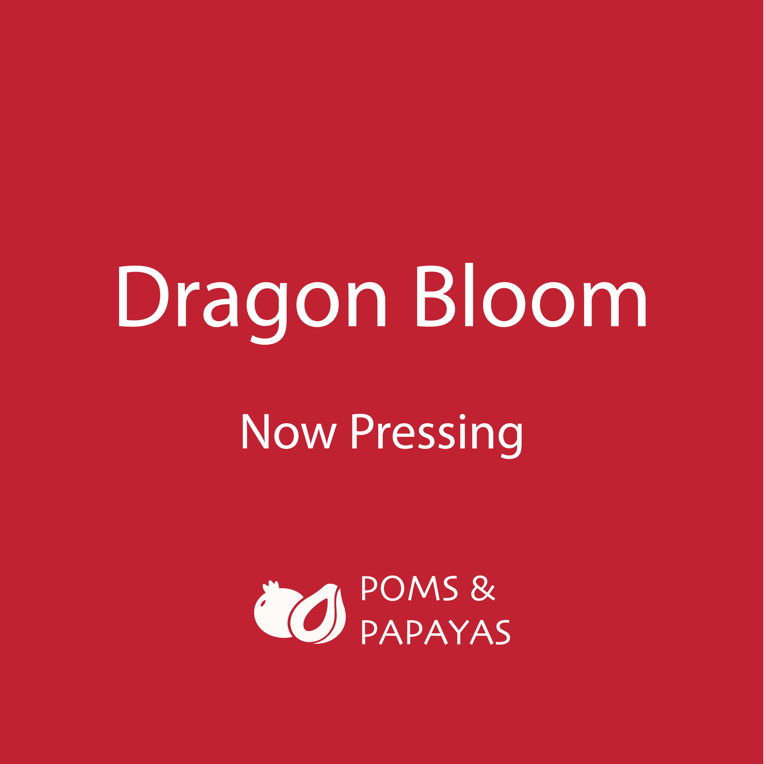 Instagram post — RGB