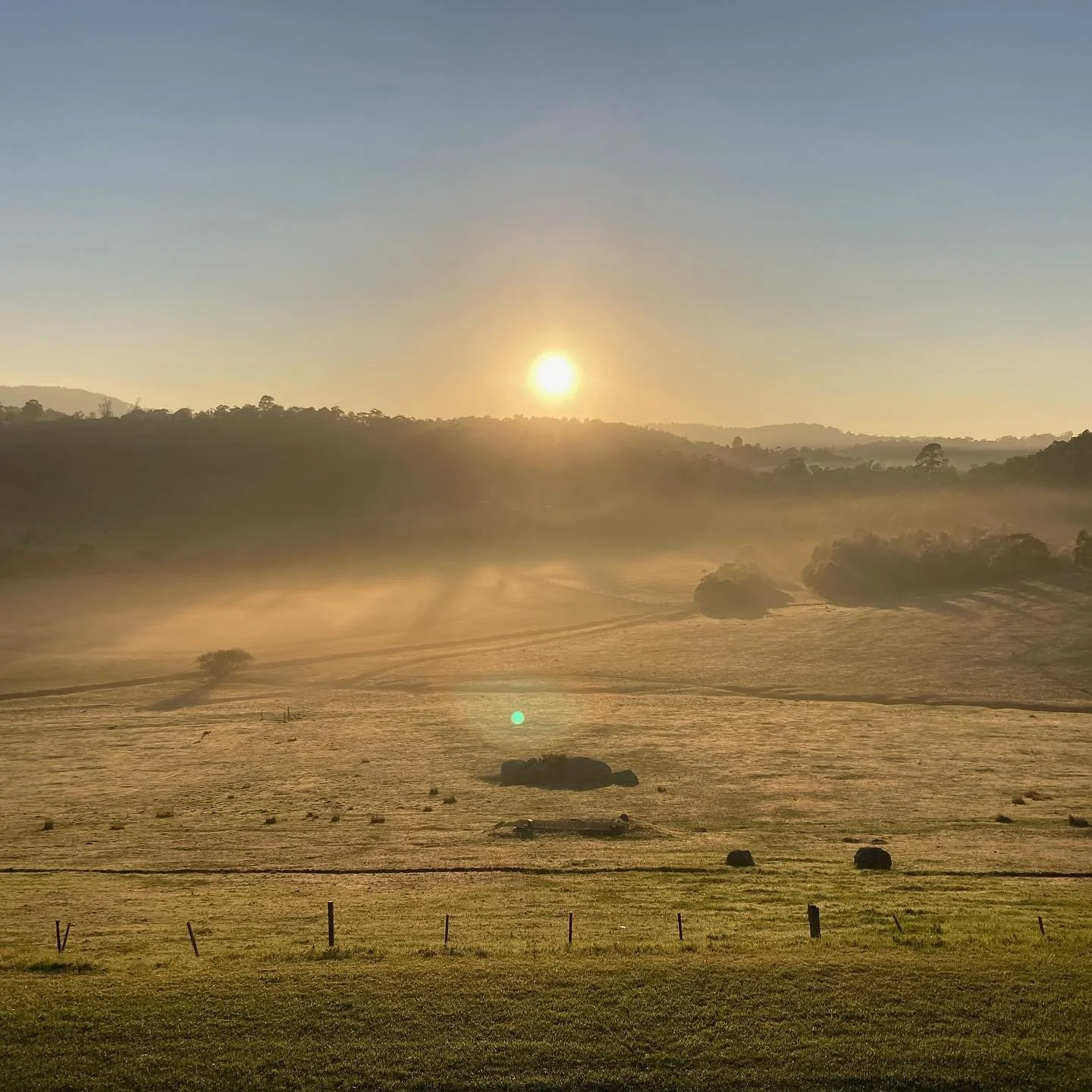 It&rsquo;s not every day that cows wander into your therapy session.

I&rsquo;ve just returned from a week of ecotherapy training in nature surrounded by cows, kangaroos, birds and bees. It was a profound and precious experience, supporting others an