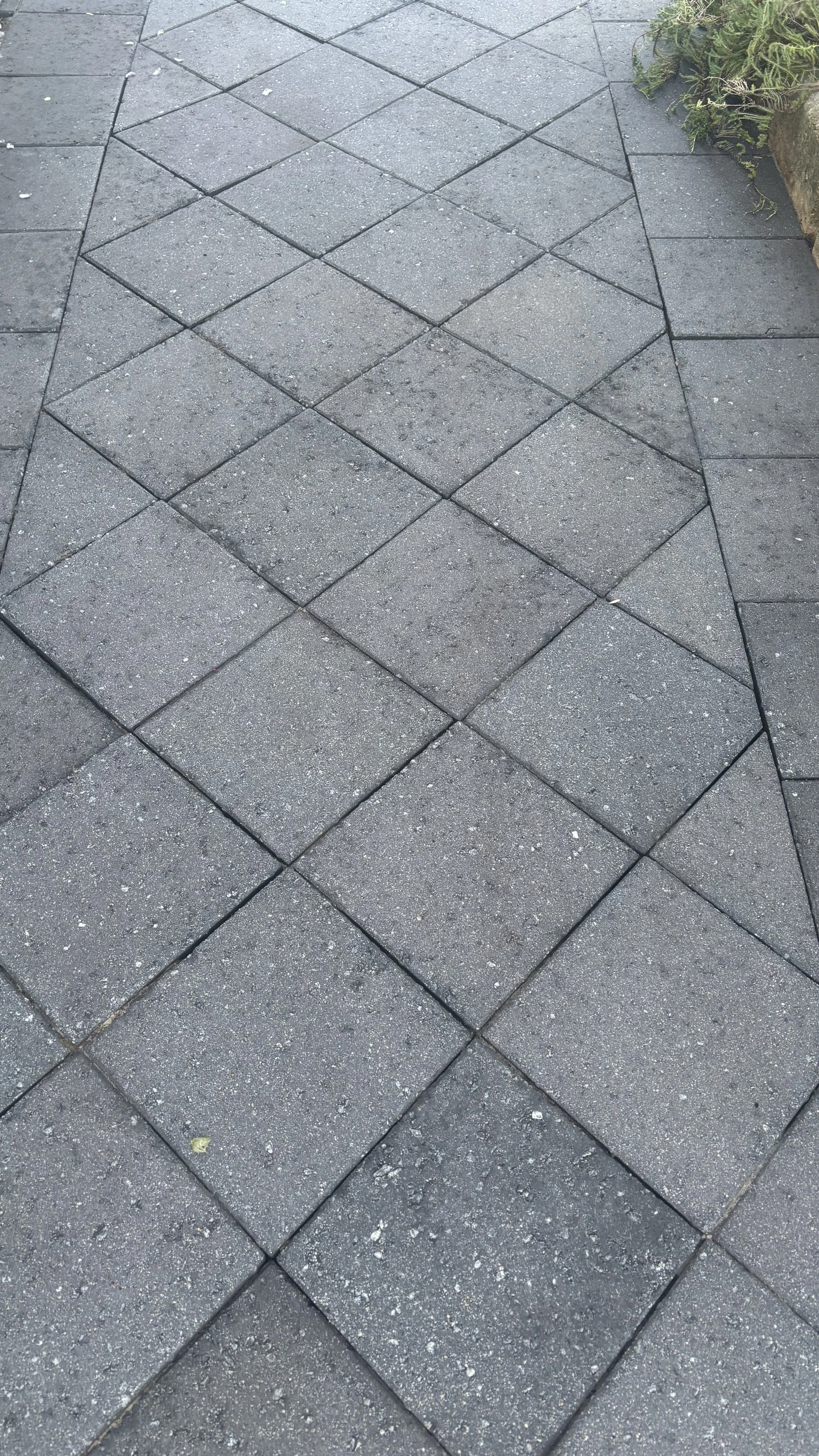 A sidewalk with square and diamond-shaped paving stones, some with black borders, and some in a tessellated pattern, with part of a bush on the upper right corner.