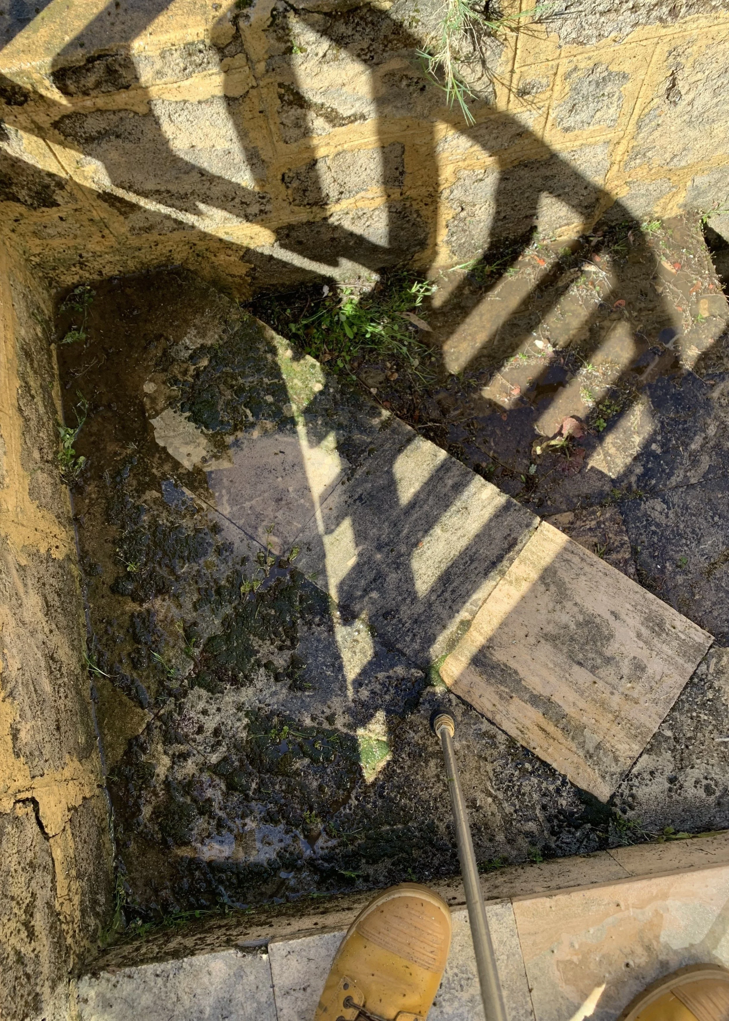 View of a muddy, wet ground with patches of green moss, a small plant, and a brick wall. A person's yellow shoe and a metal rod are visible in the bottom part of the image, casting shadows on the ground.
