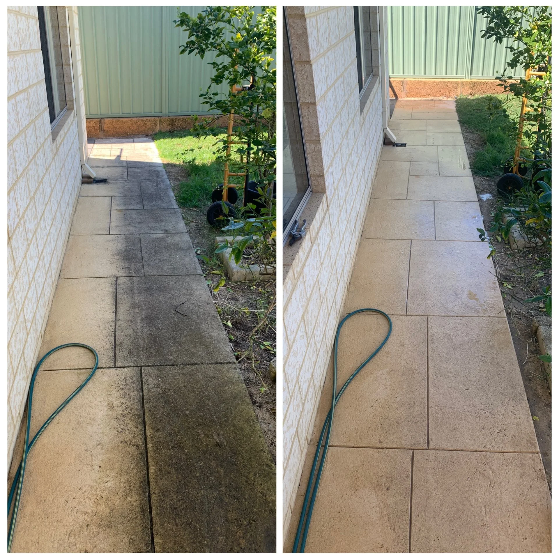 Comparison of a house's exterior pathway before and after cleaning. The left side shows a dirty, stained concrete pathway, while the right side shows the same pathway cleaned and brightened.