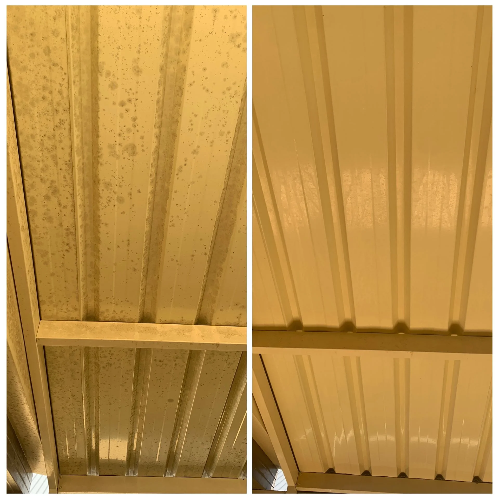 Comparison of the underside of an old, dirty, stained ceiling panel and a clean, new, shiny ceiling panel.