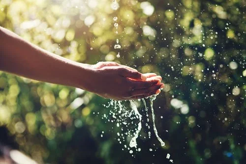 Reducing our water consumption and costs