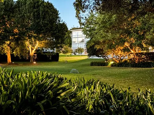 Tree uplighting project