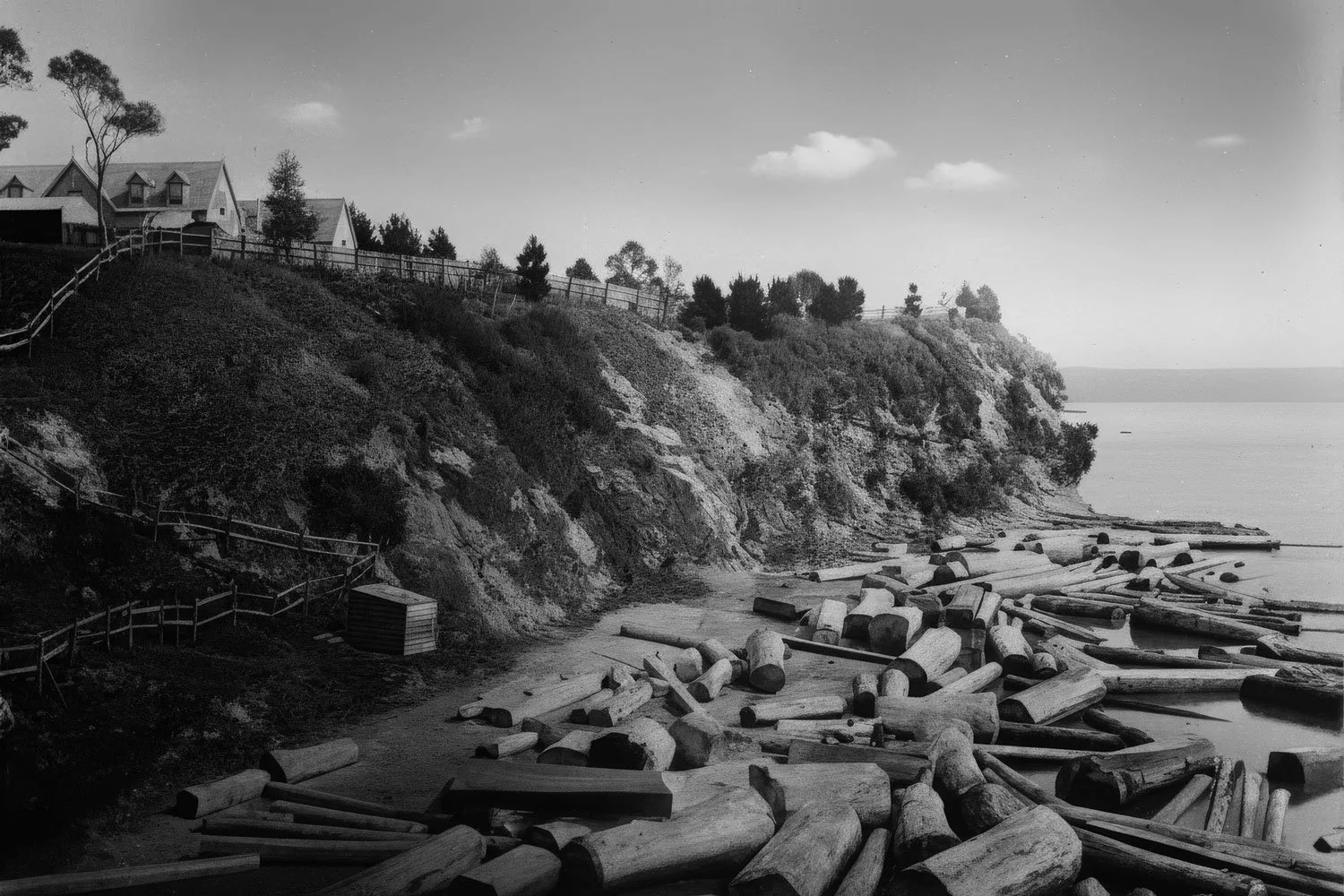 Low tide in Freemans Bay