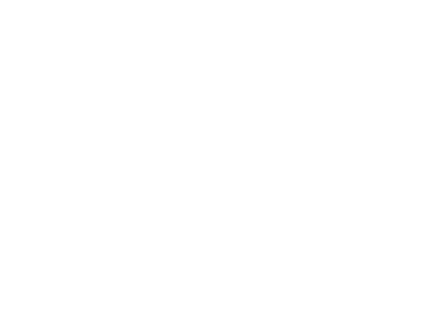 Reset Logo