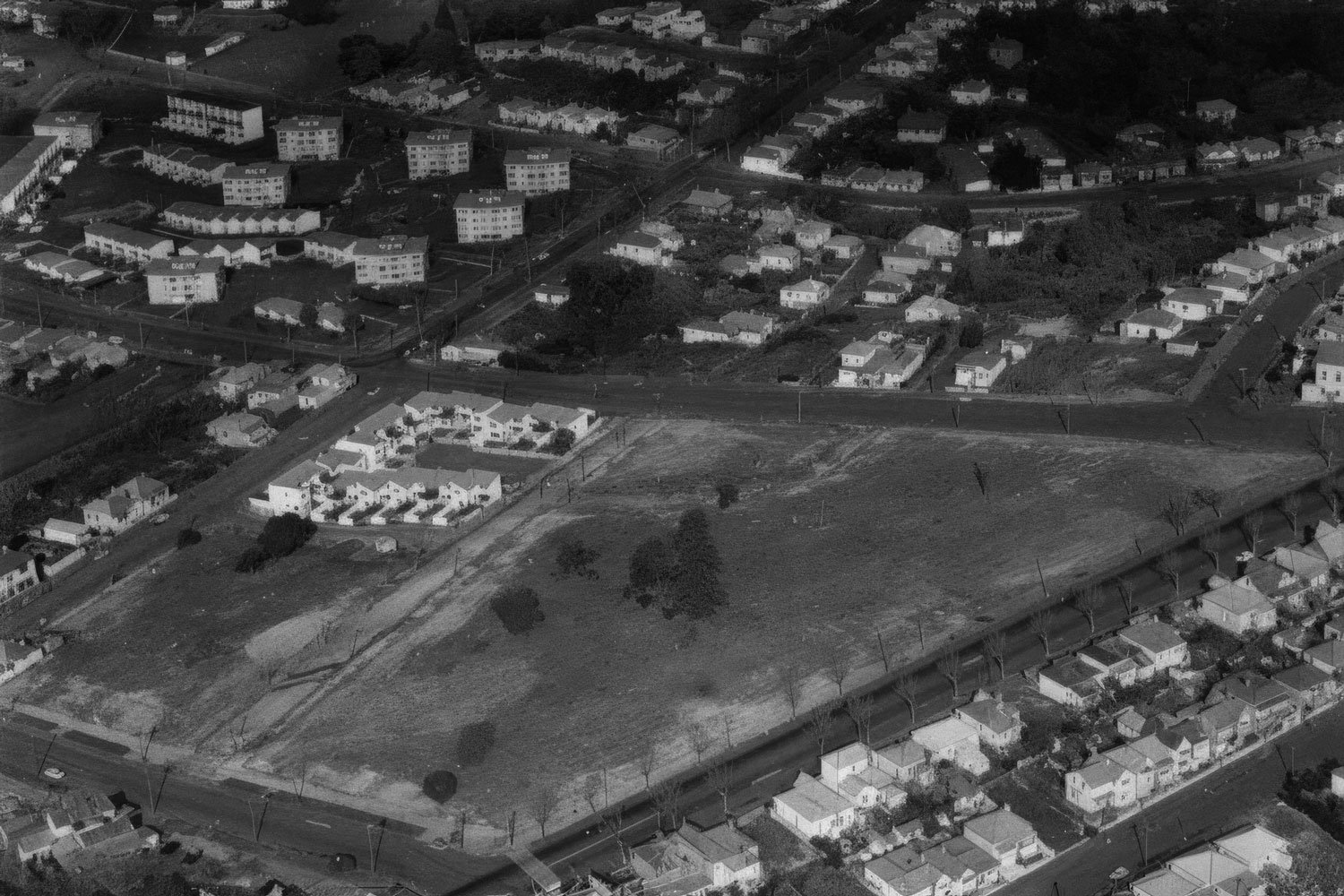 Freemans Park complete, and intensification starts on neighbouring land