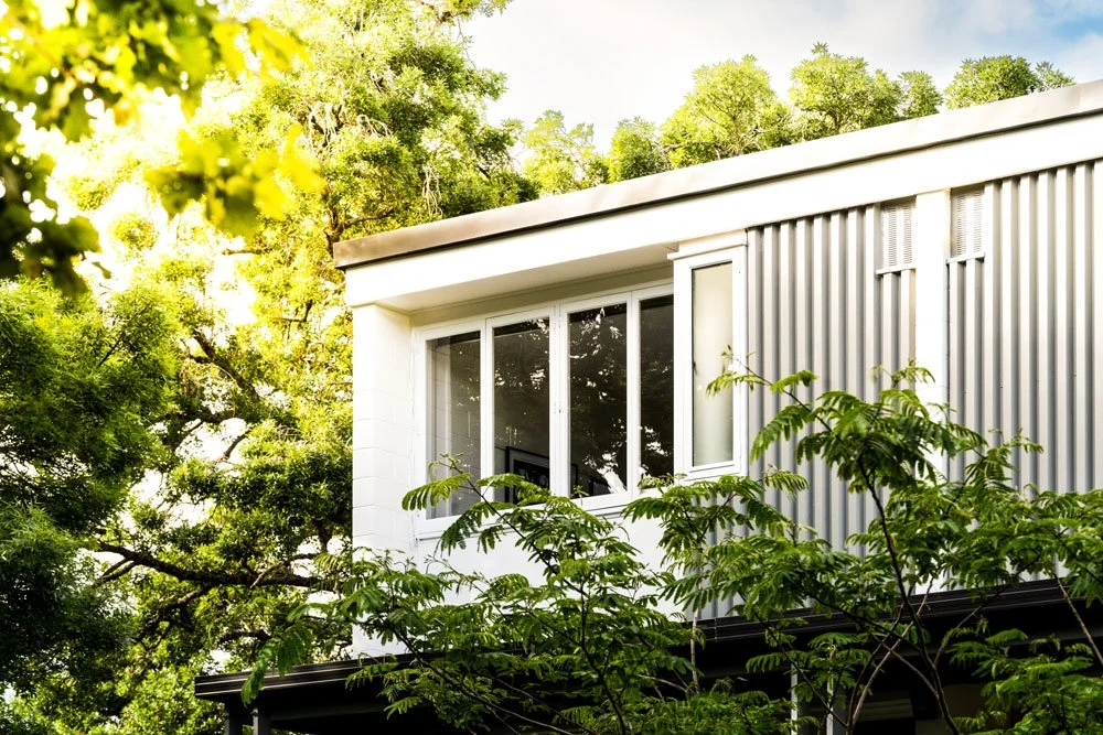 Modern house exterior with large windows, gray metal siding, surrounded by green trees and foliage on a sunny day.