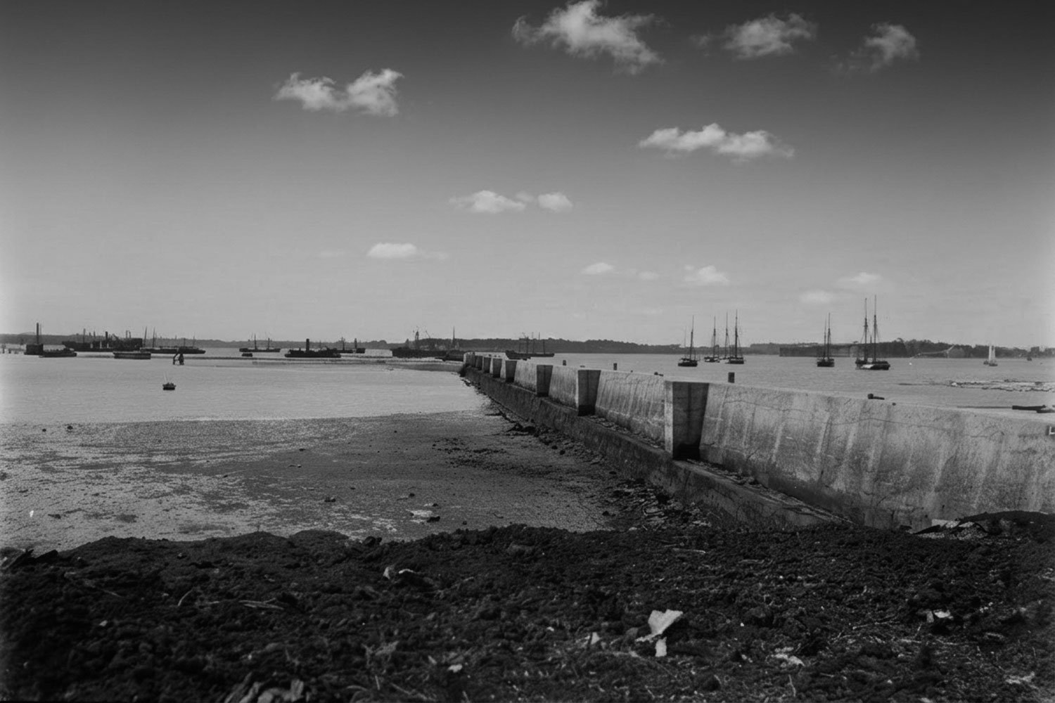 1890s reclamation works