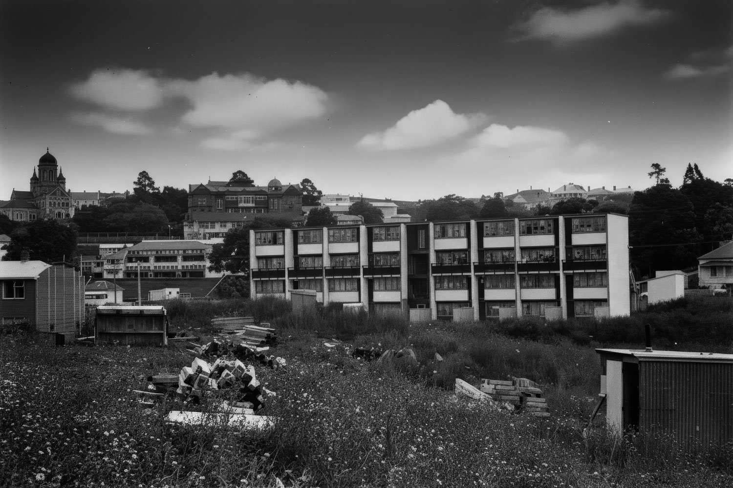 Freemans Park pre-142 Howe St row house construction 