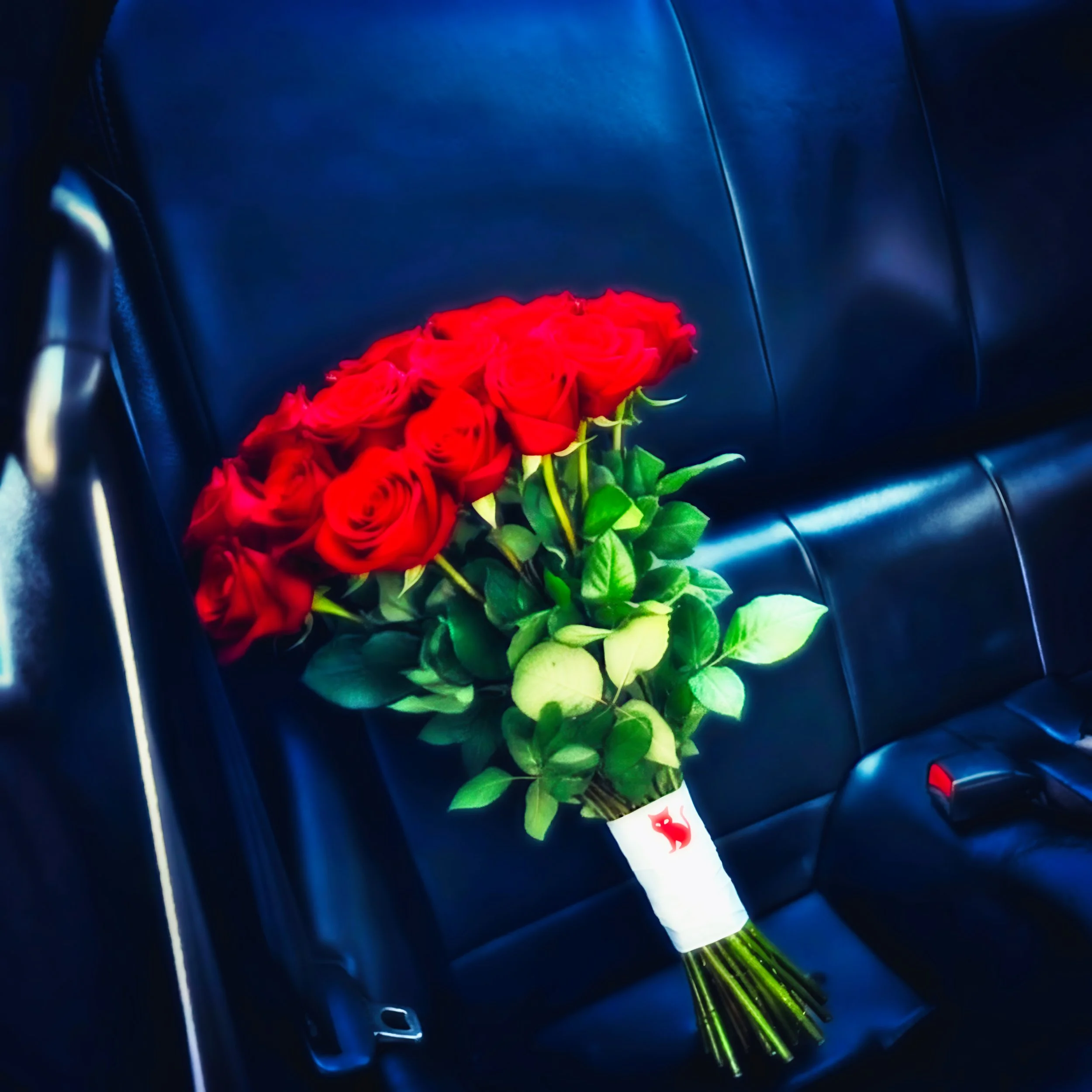 1.RosesintheBack.jpeg