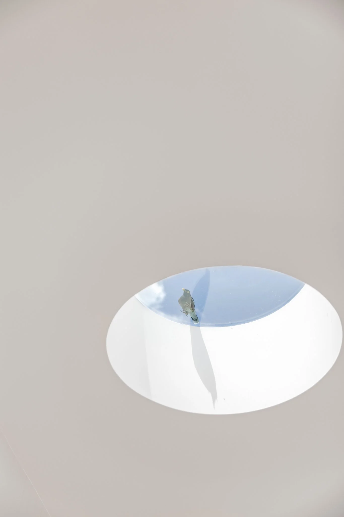 Kemp St Project LR--13.jpg