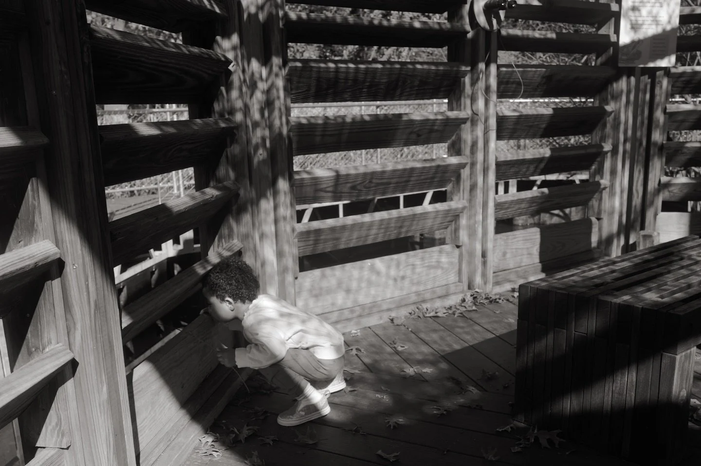 Just a black and white photo dump. 

#leica #leicaq3 #blackandwhite #bnw